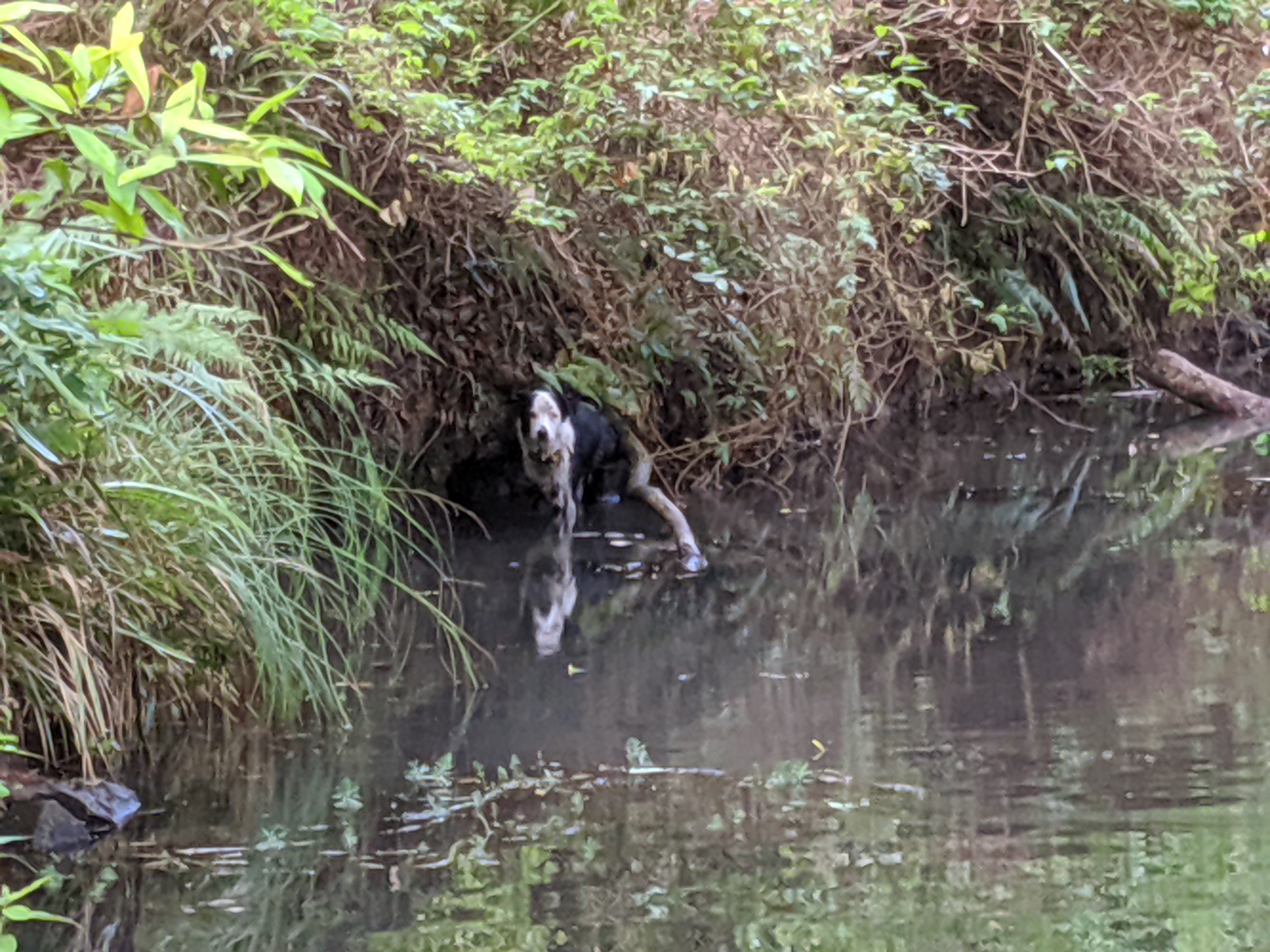 Misty's Watering hole