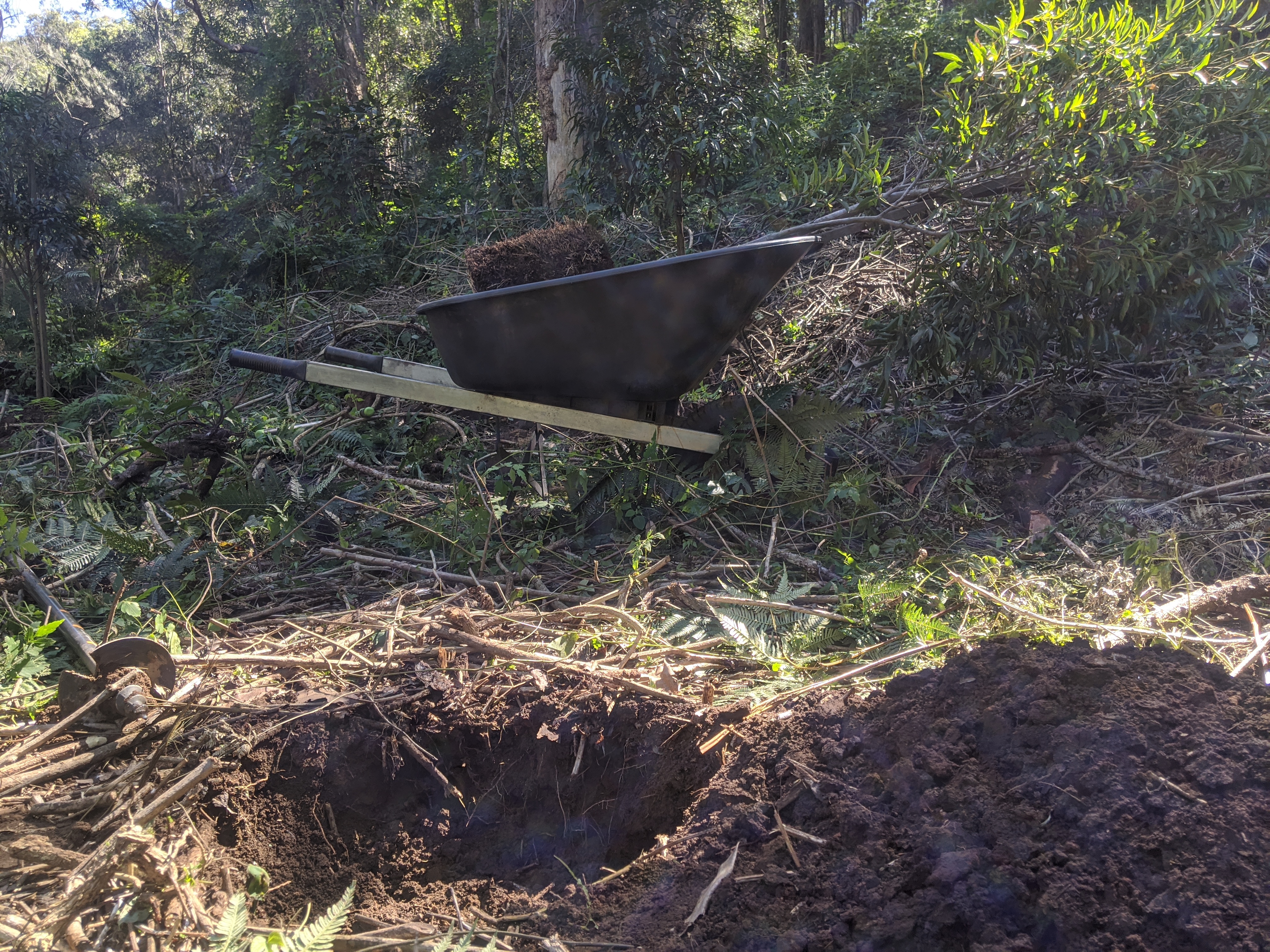 Addi Lane - The Entrance