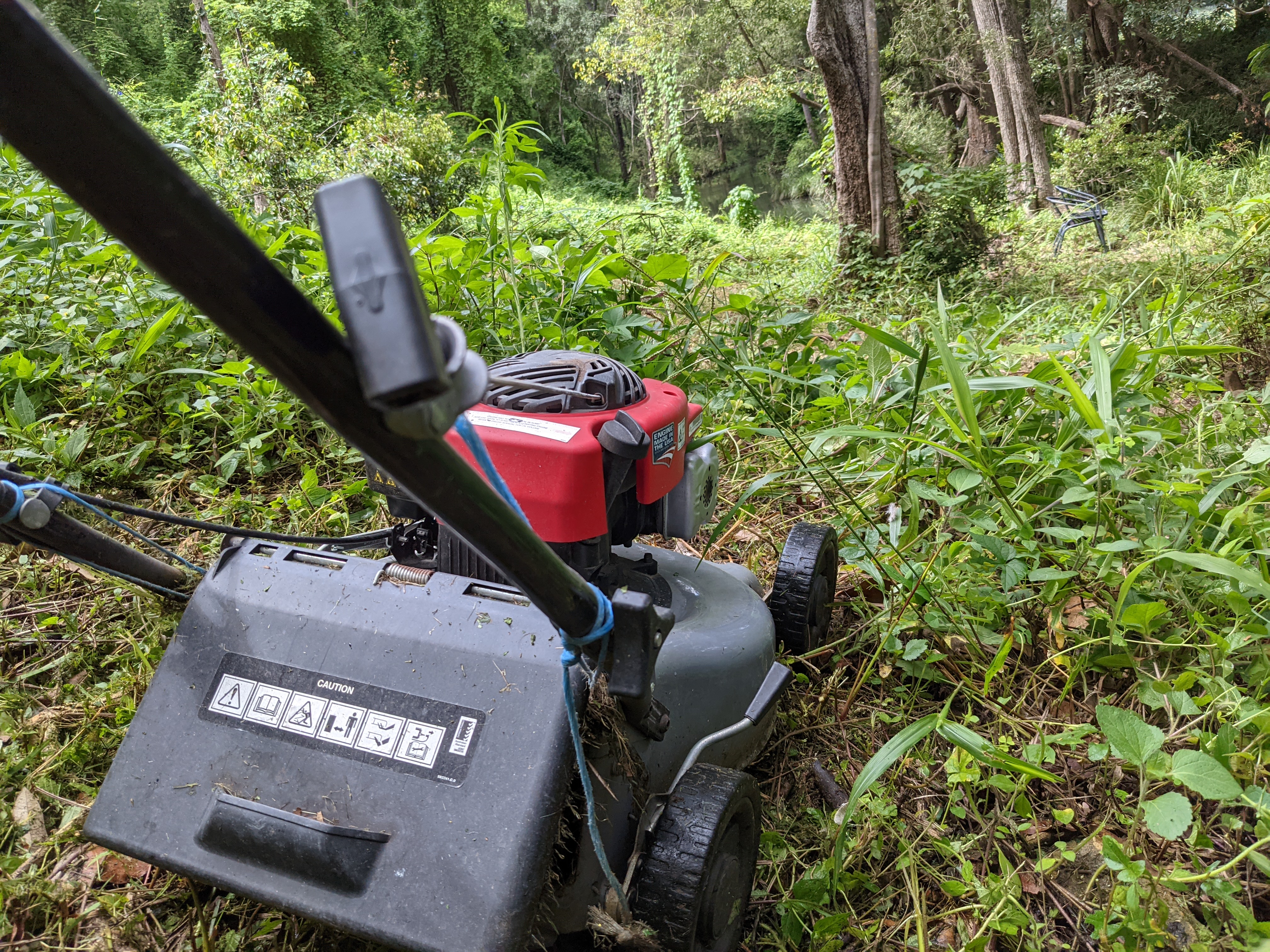 Addi Lane - The Entrance