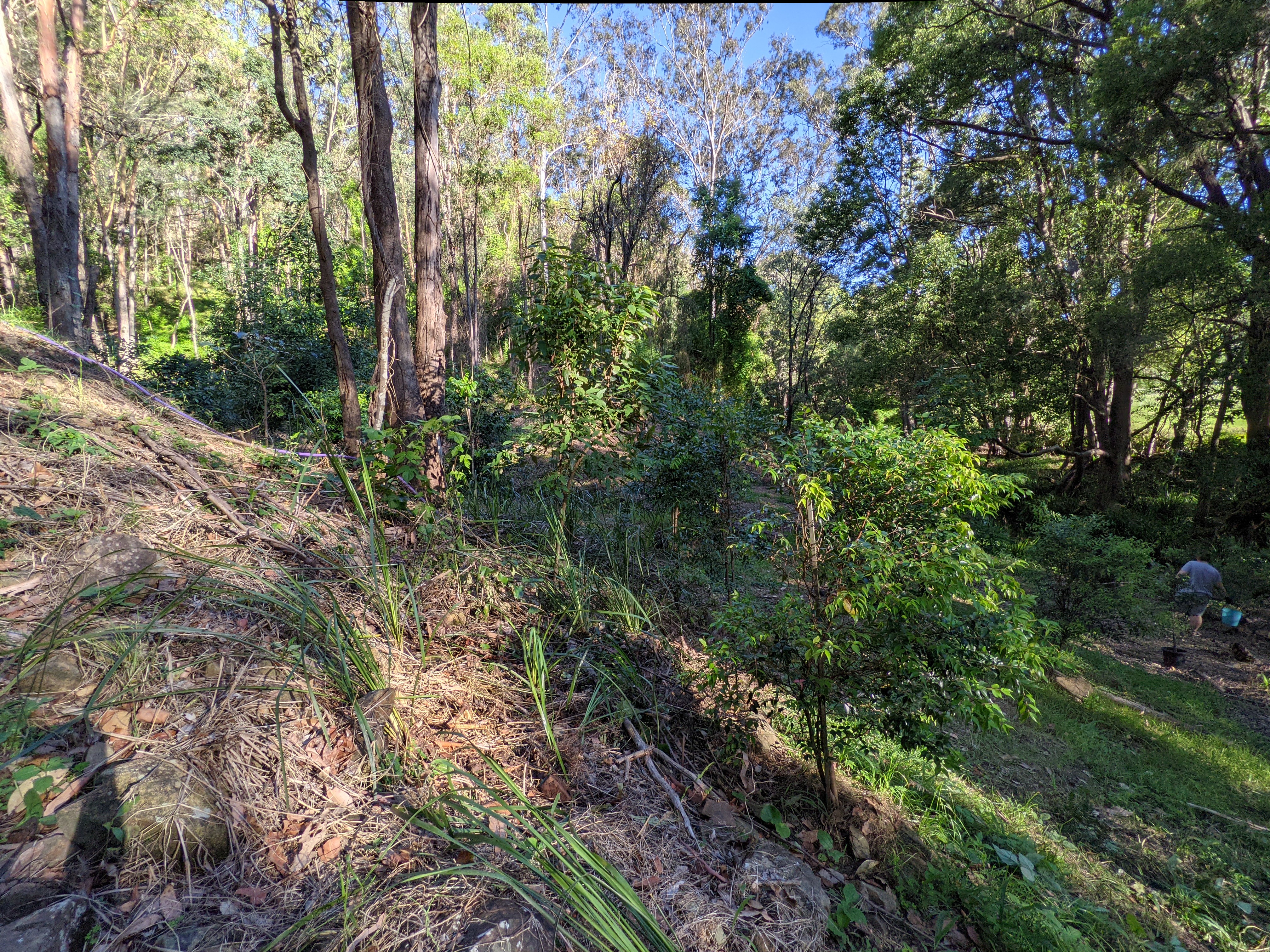 Addi Lane - The Entrance