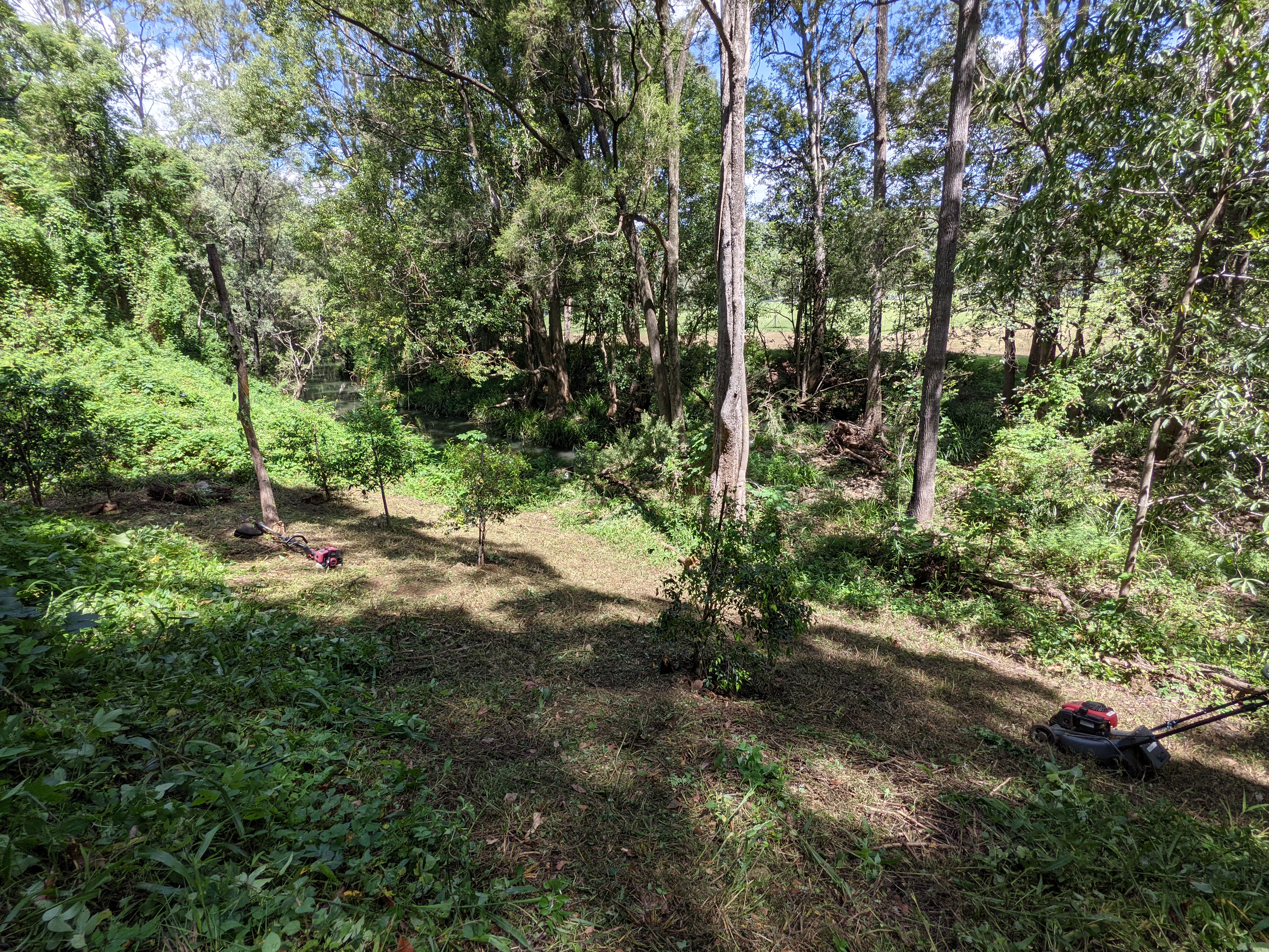 Addi Lane - The Entrance