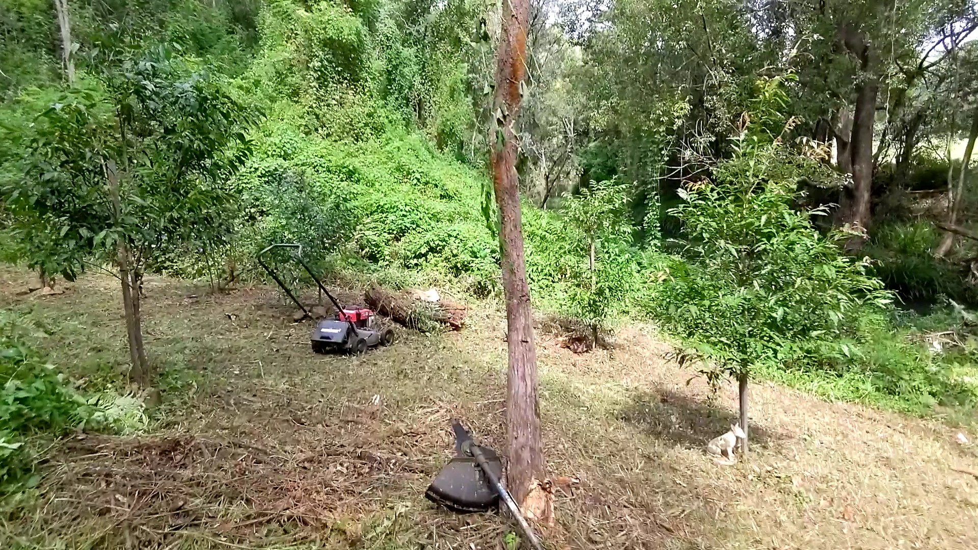 Addi Lane - The Entrance