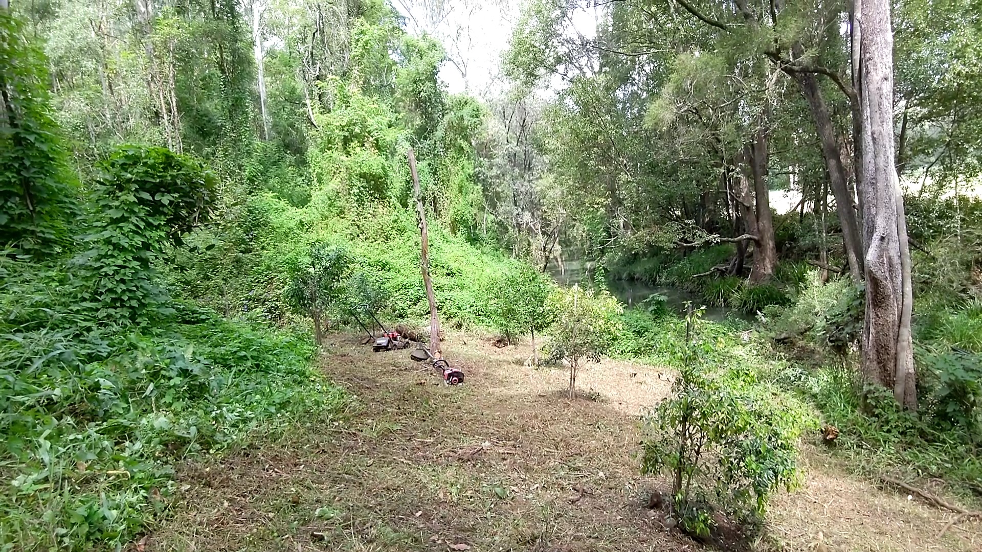 Addi Lane - The Entrance