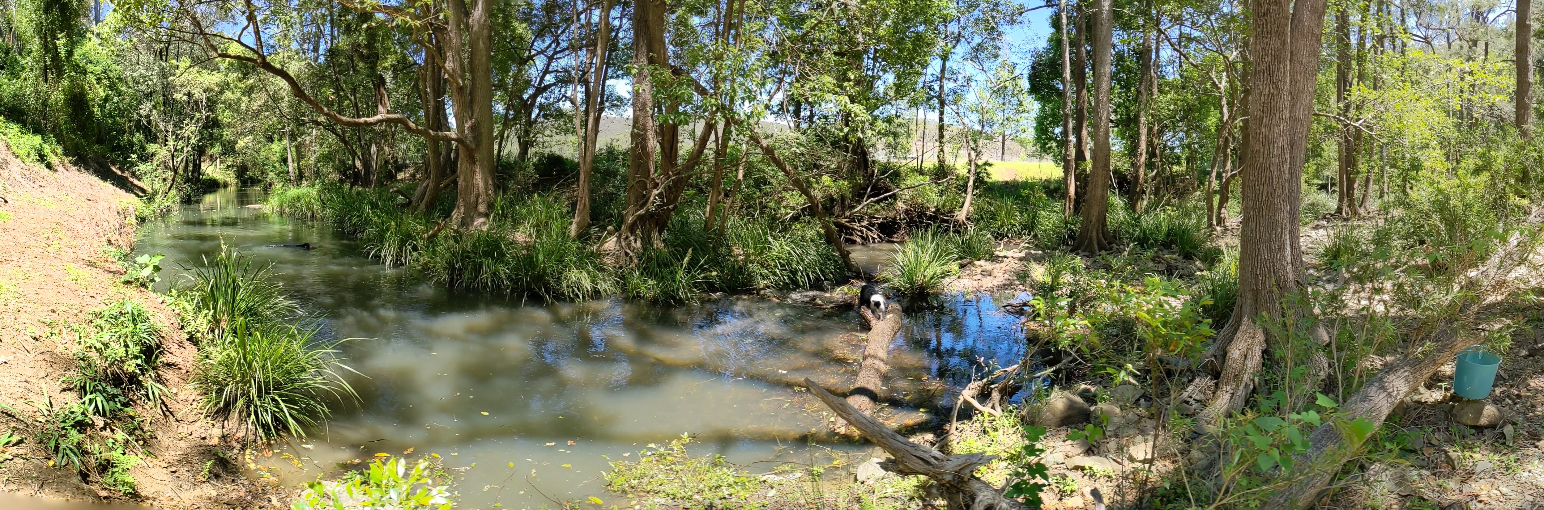 Misty's Watering hole