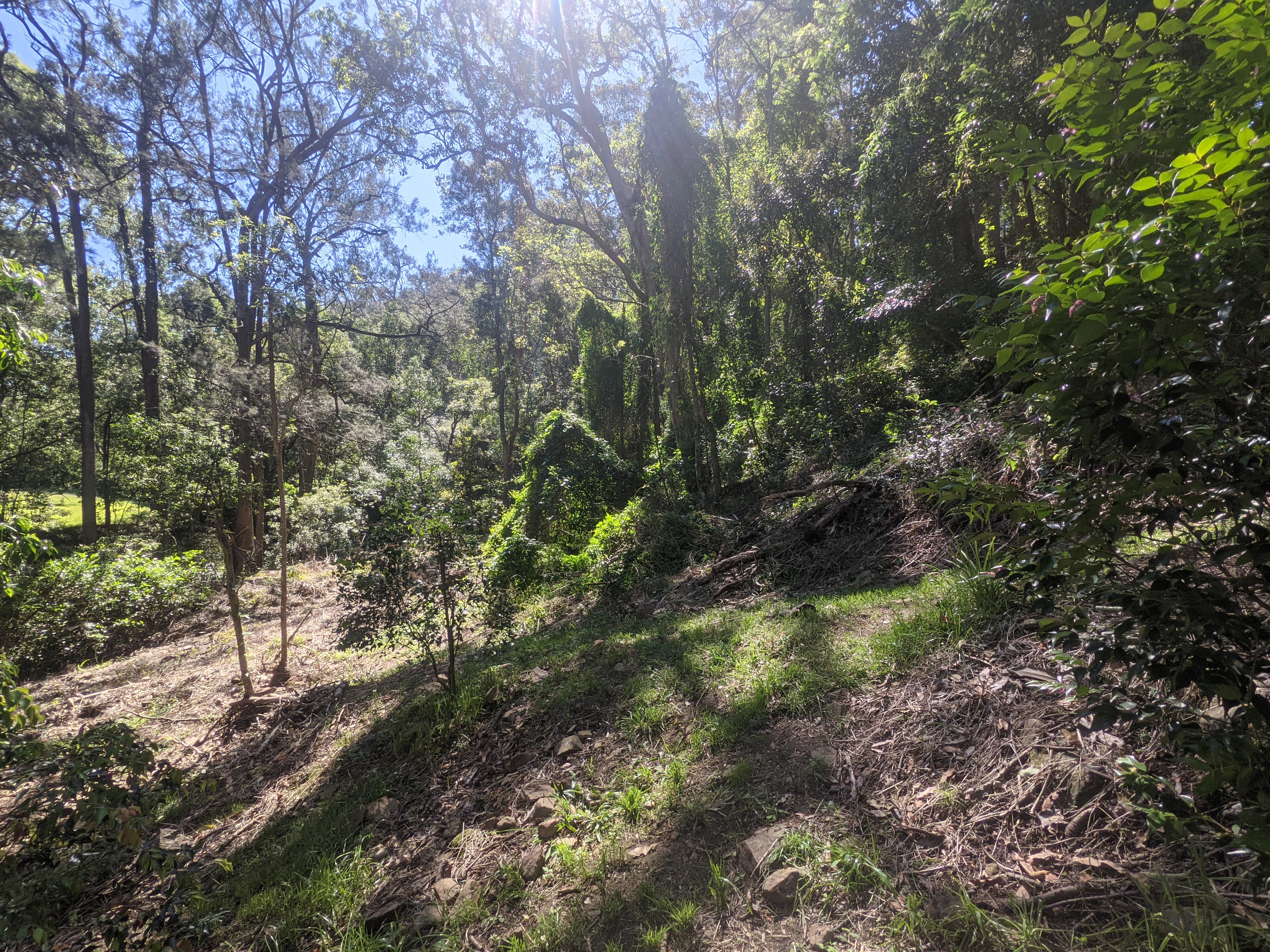 Addi Lane - The Entrance