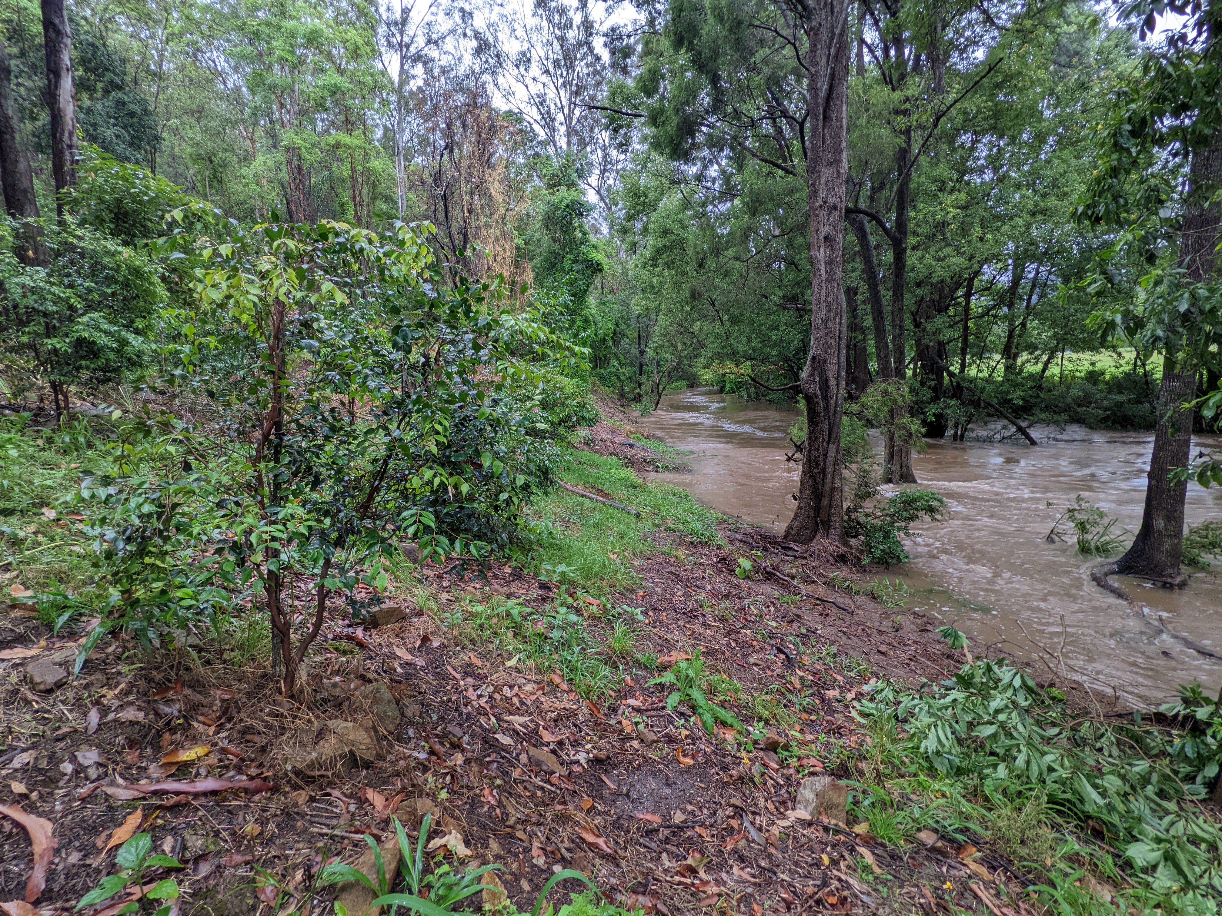 Addi Lane - The Entrance