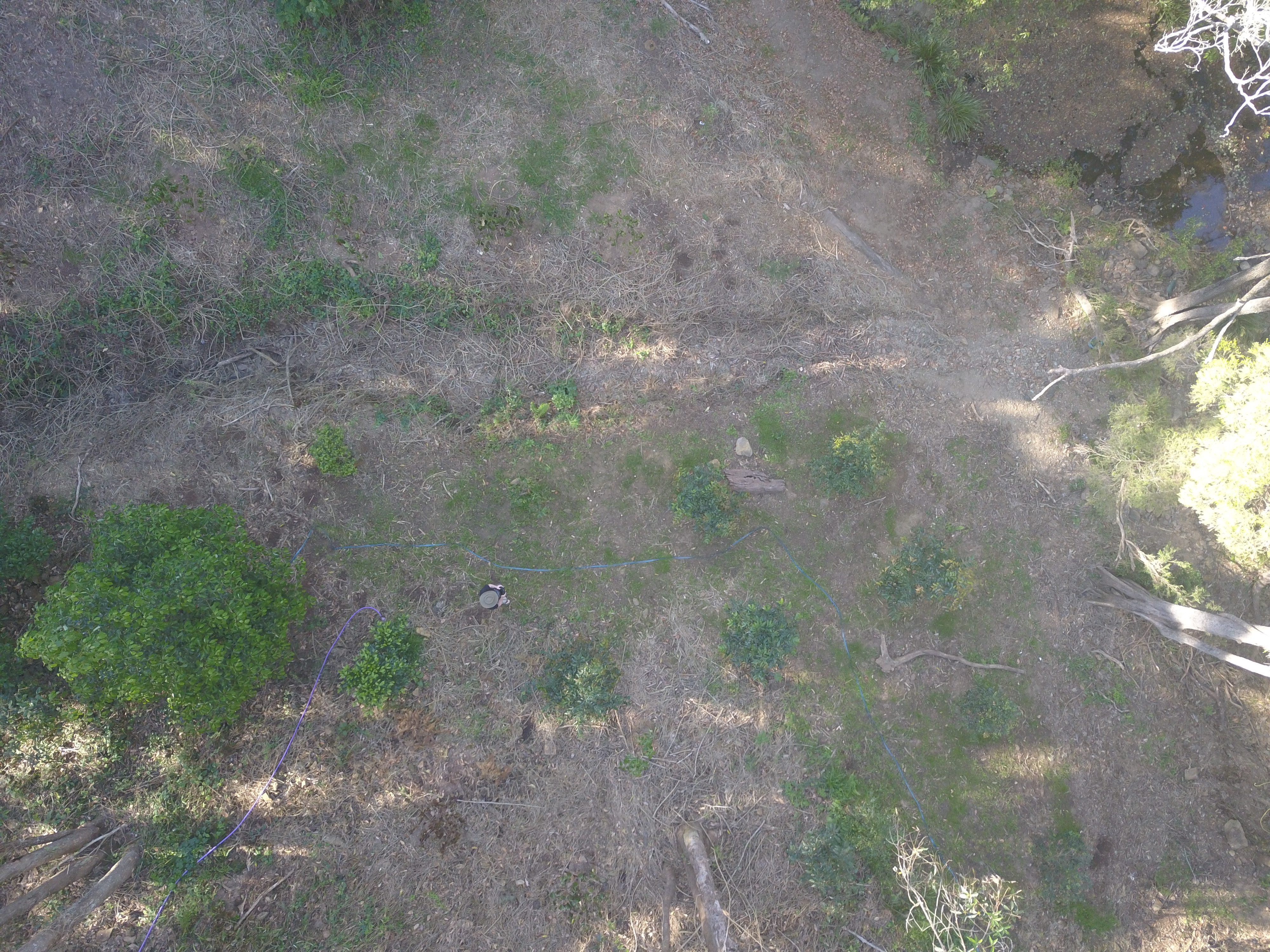 Addi Lane - The Entrance