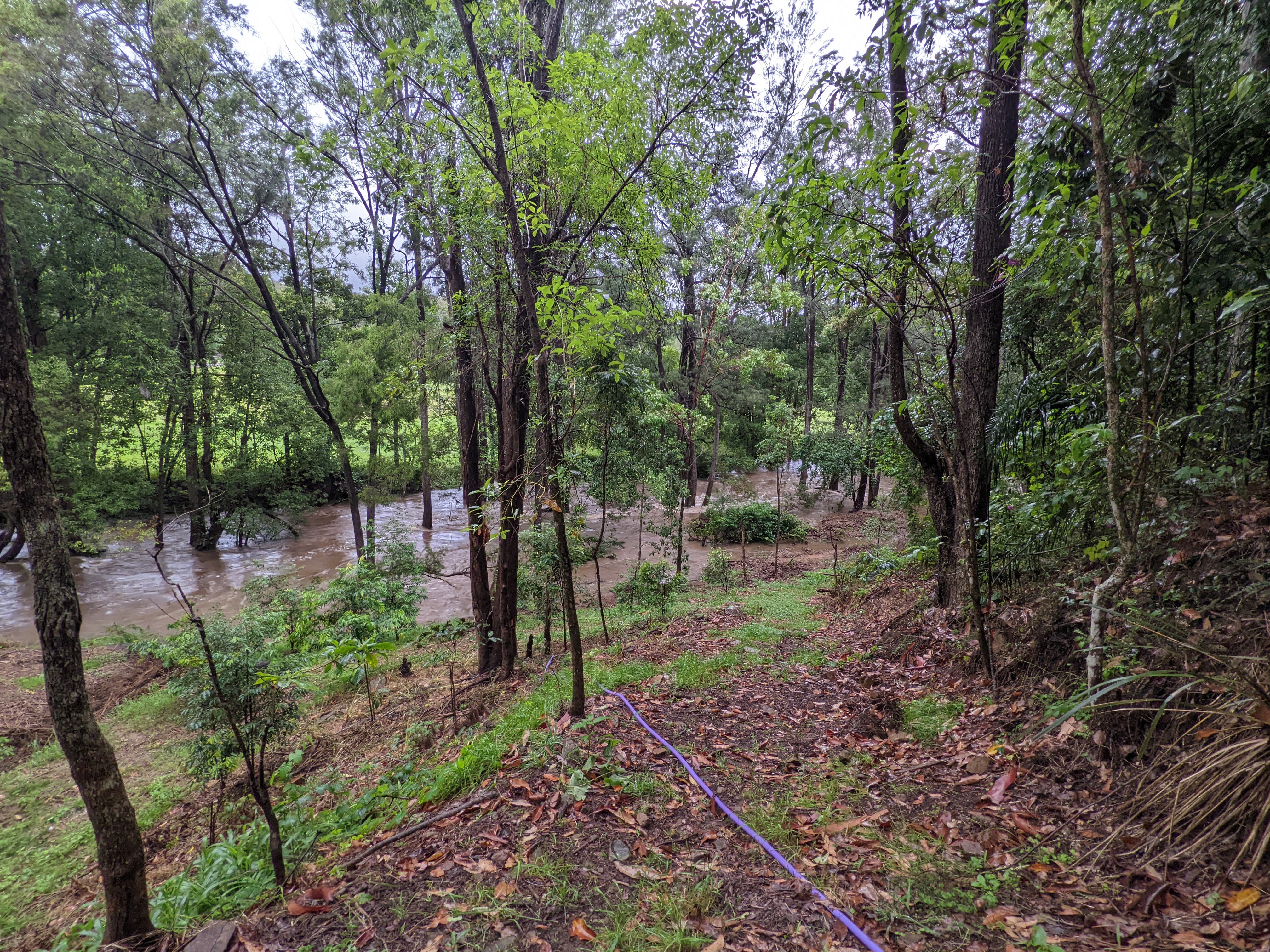 Addi Lane - The Entrance