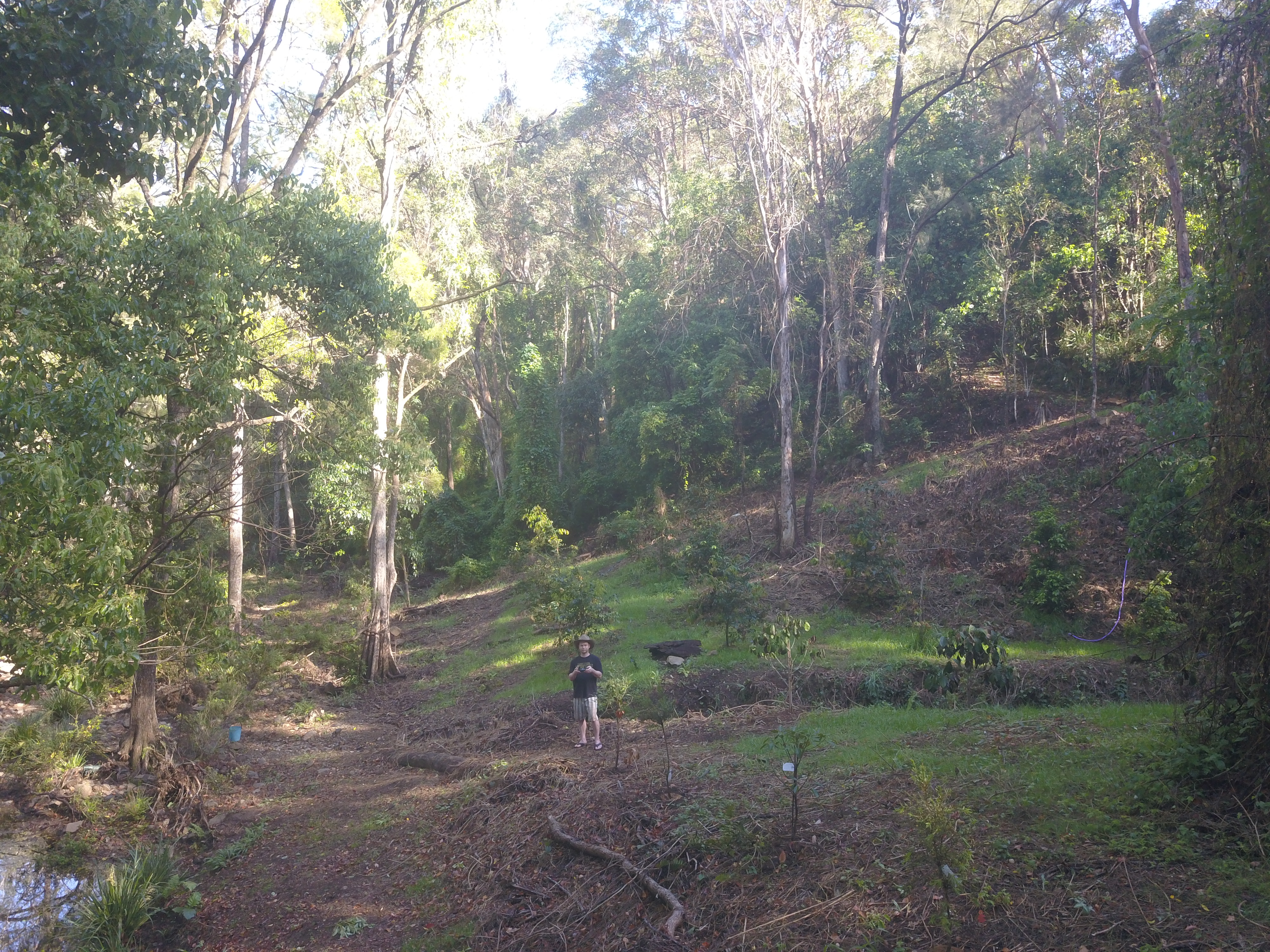 Addi Lane - The Entrance