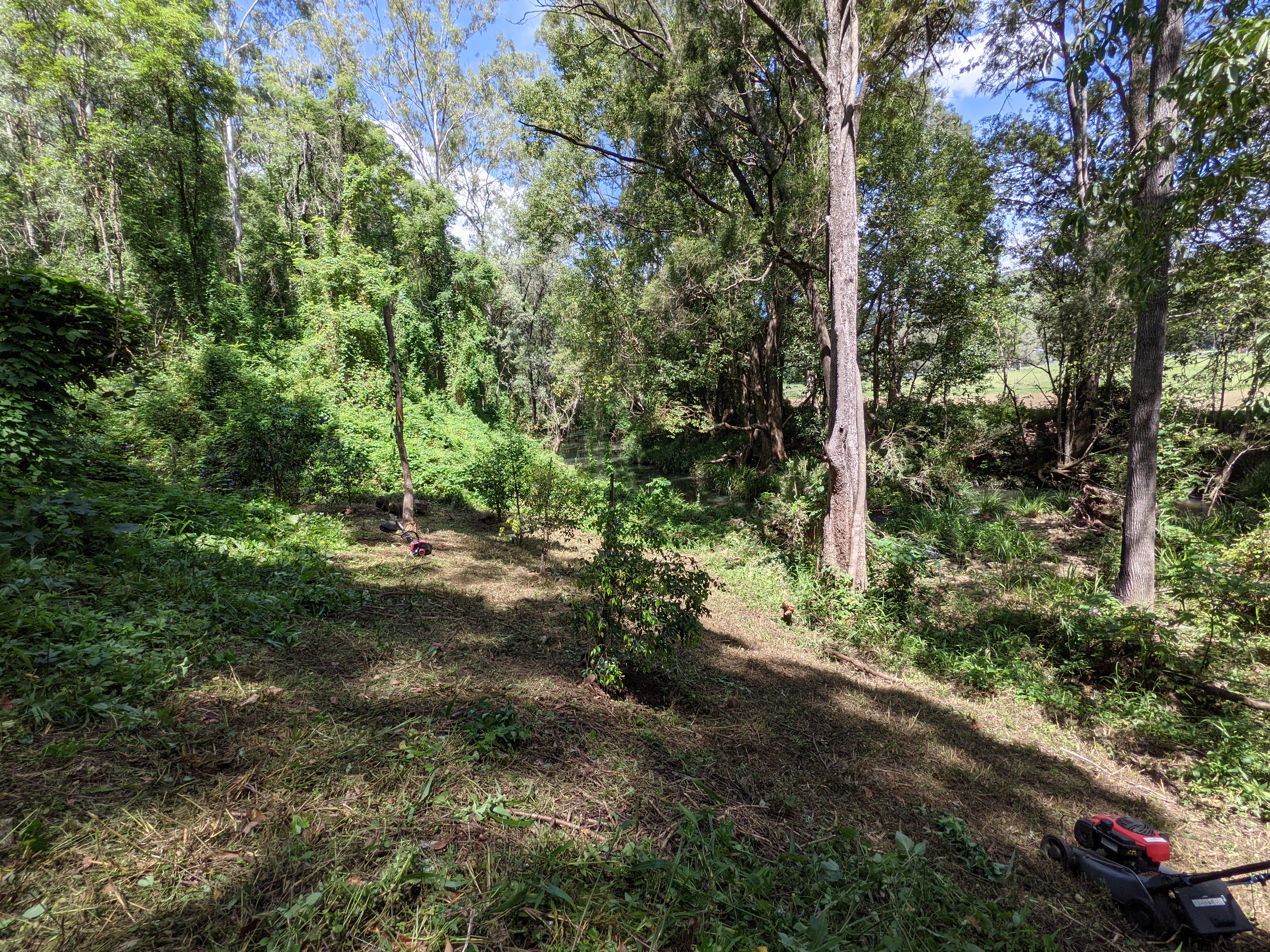 Addi Lane - The Entrance