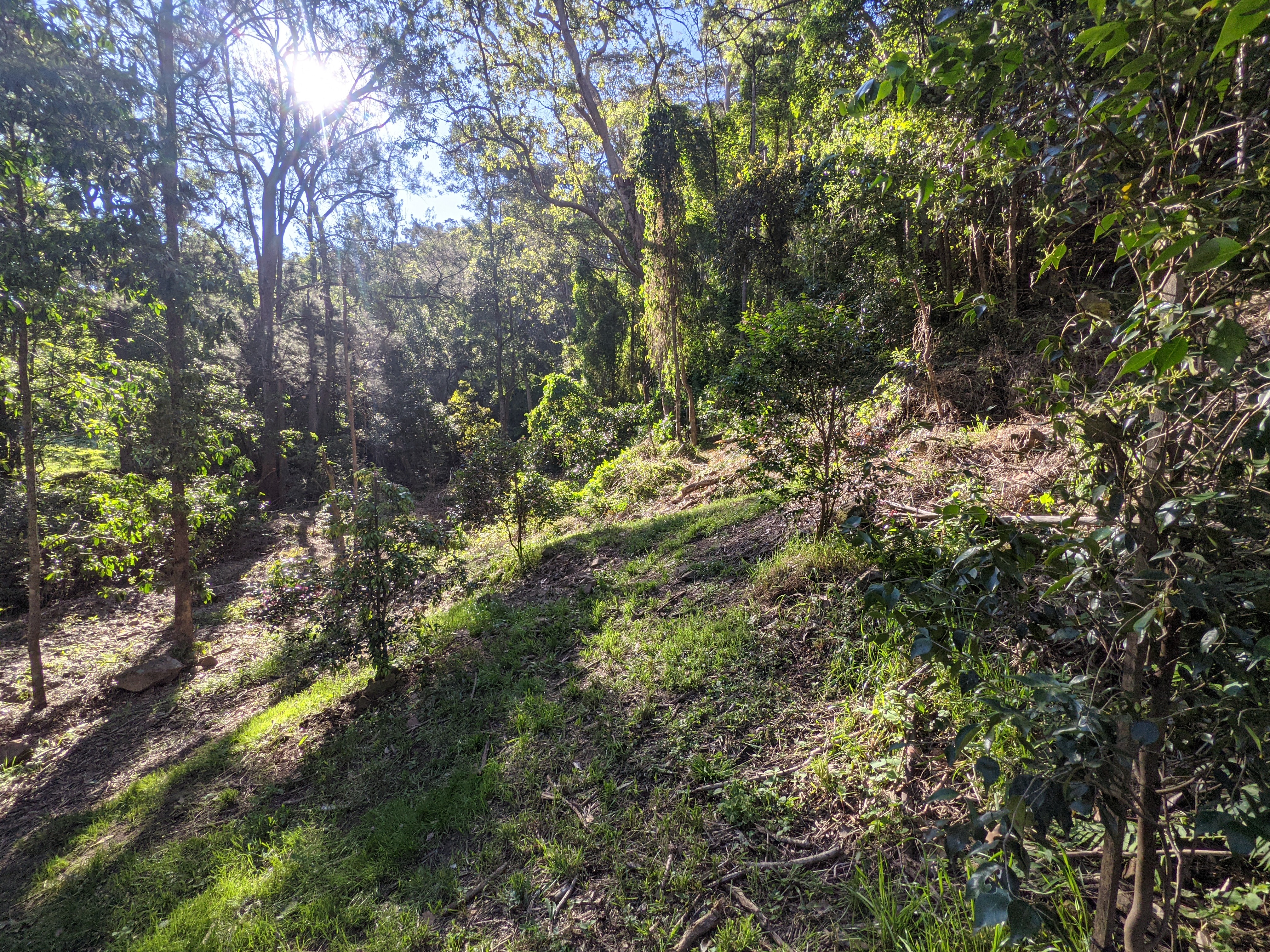 Addi Lane - The Entrance