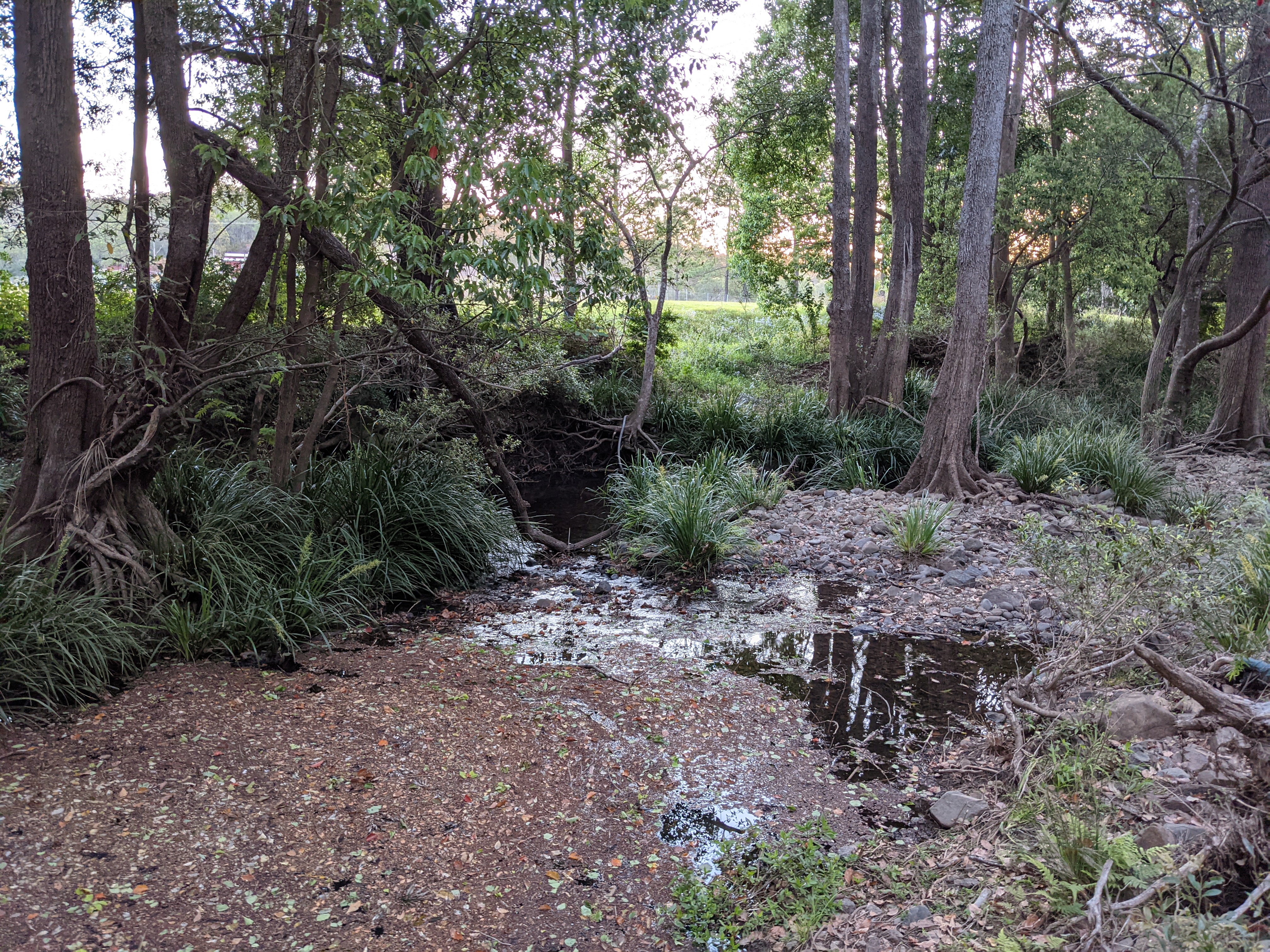 Misty's Watering hole
