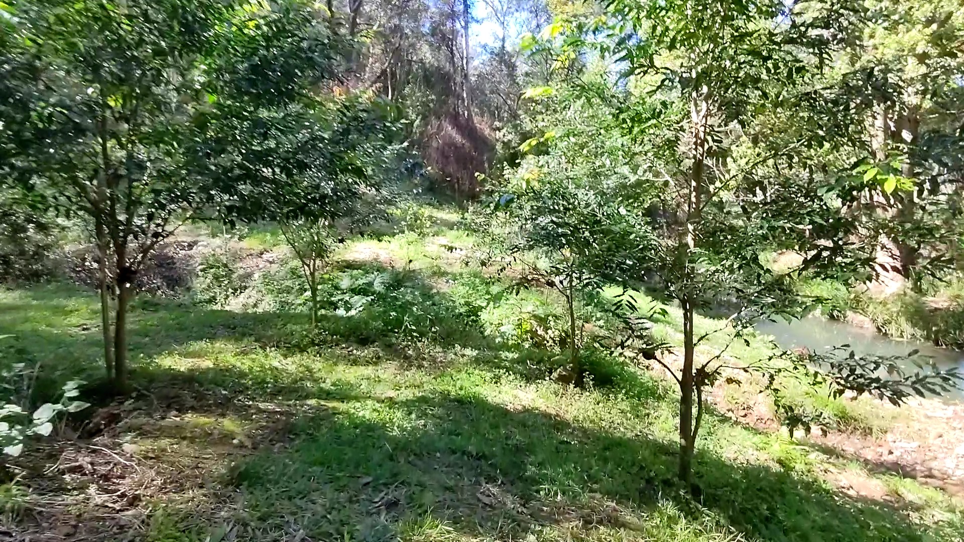 Addi Lane - The Entrance