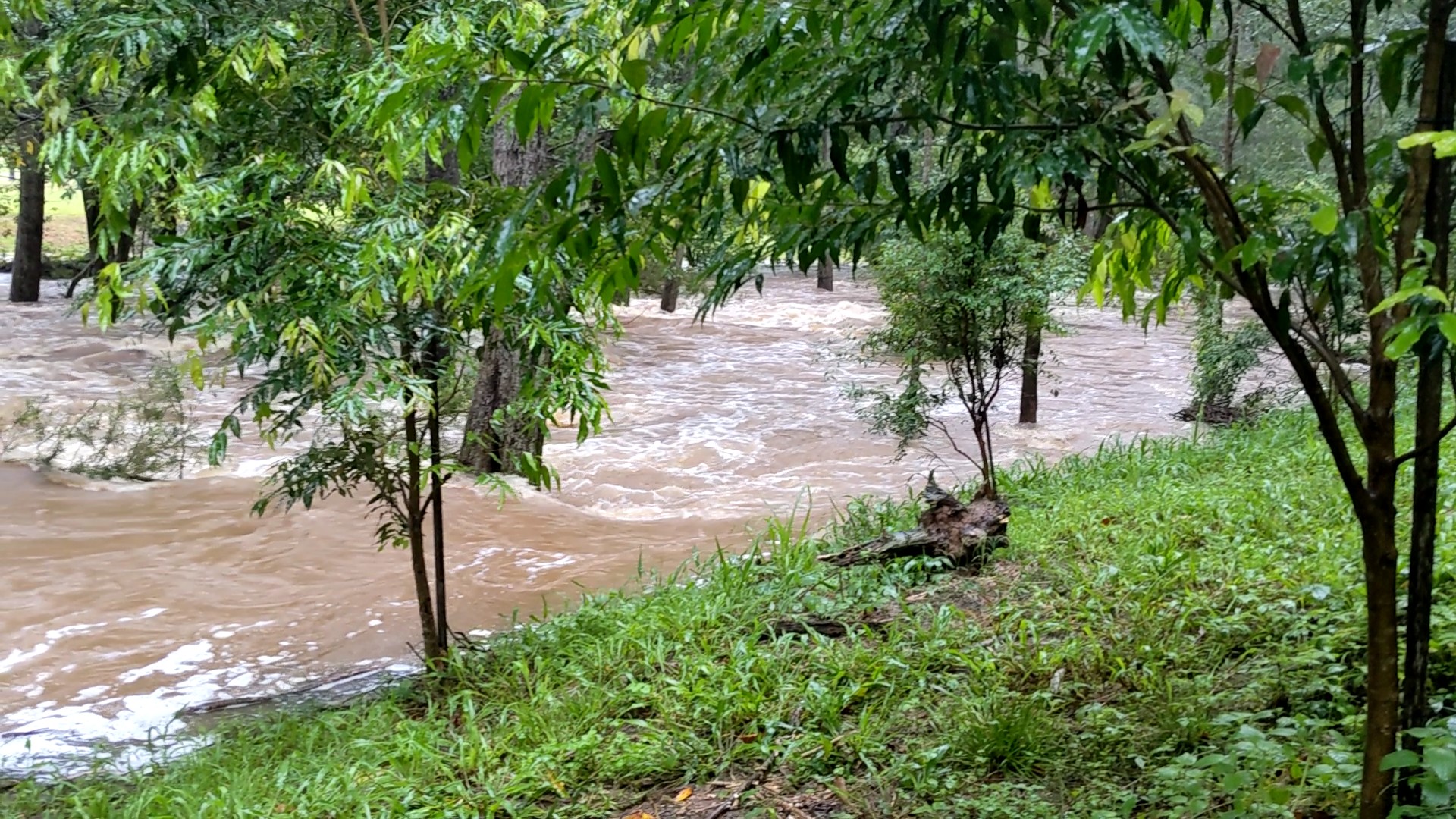 Addi Lane - The Entrance