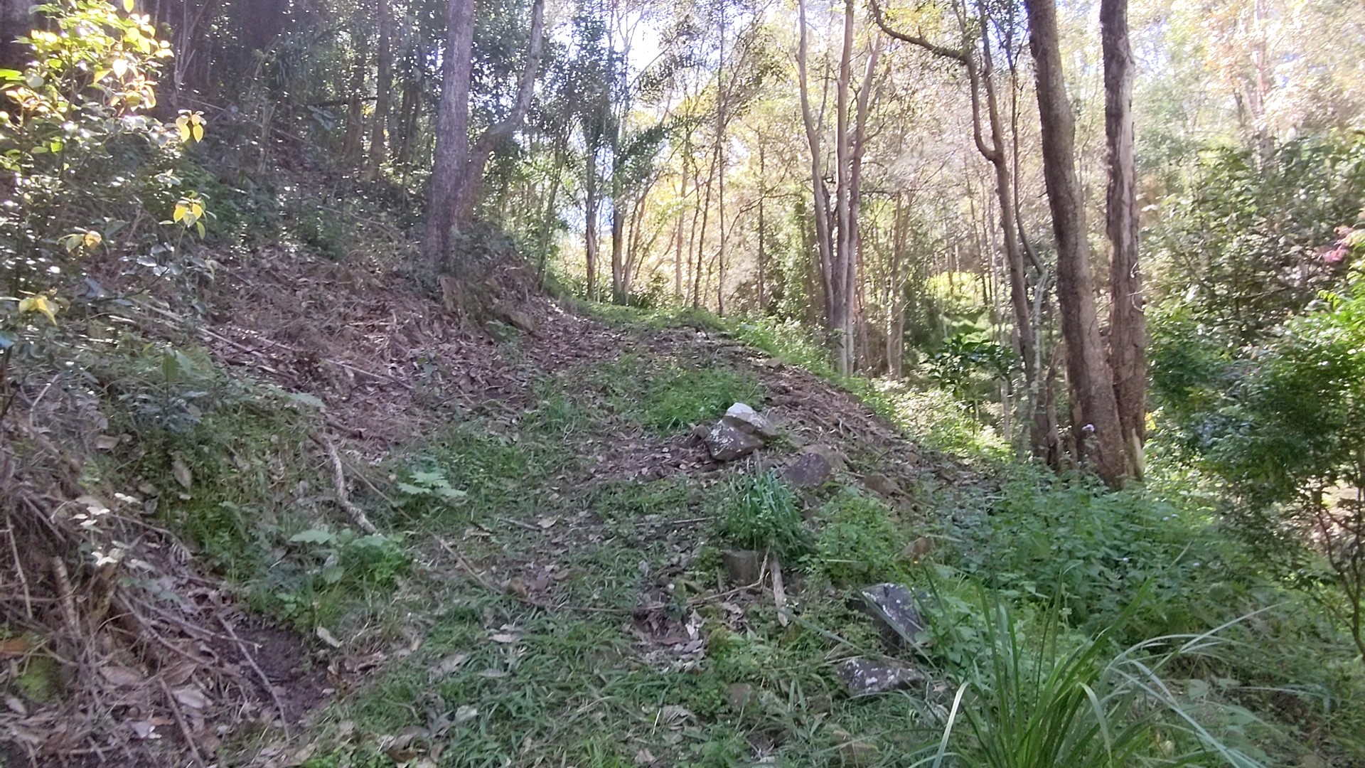 Addi Lane - The Entrance