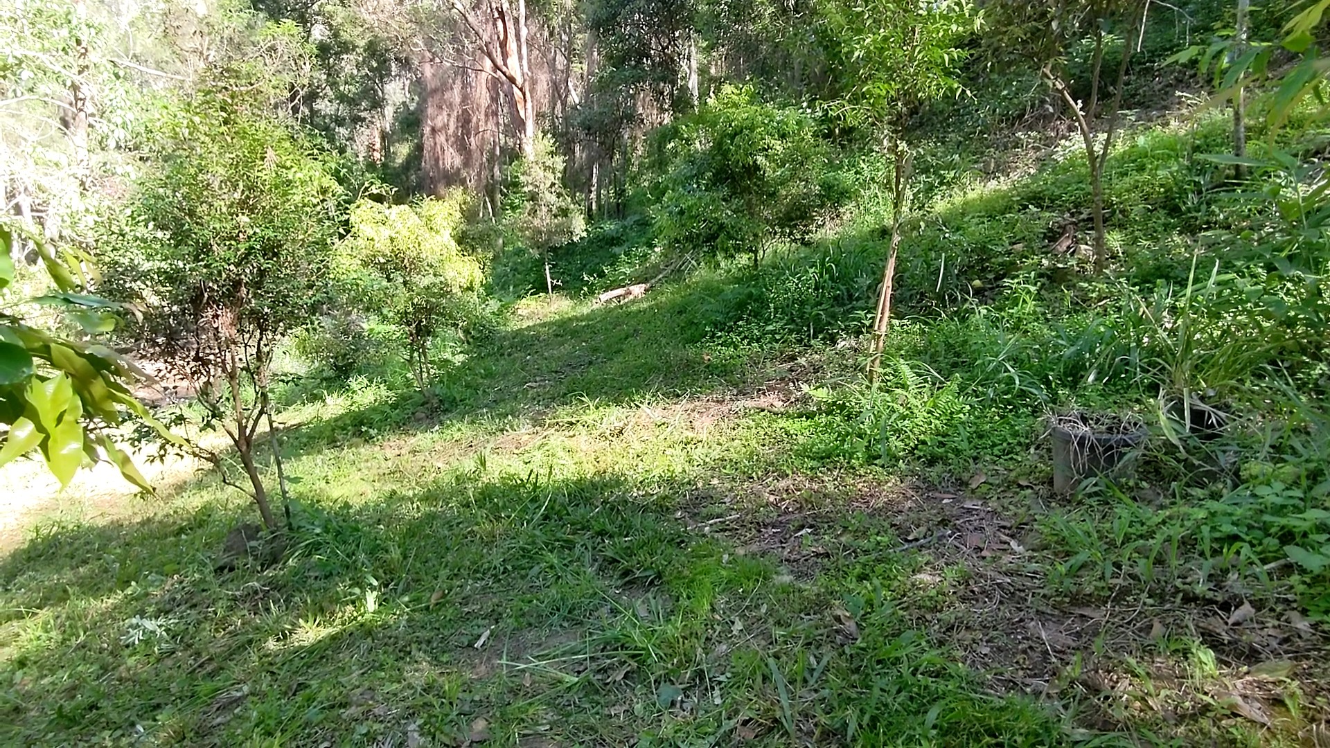 Addi Lane - The Entrance