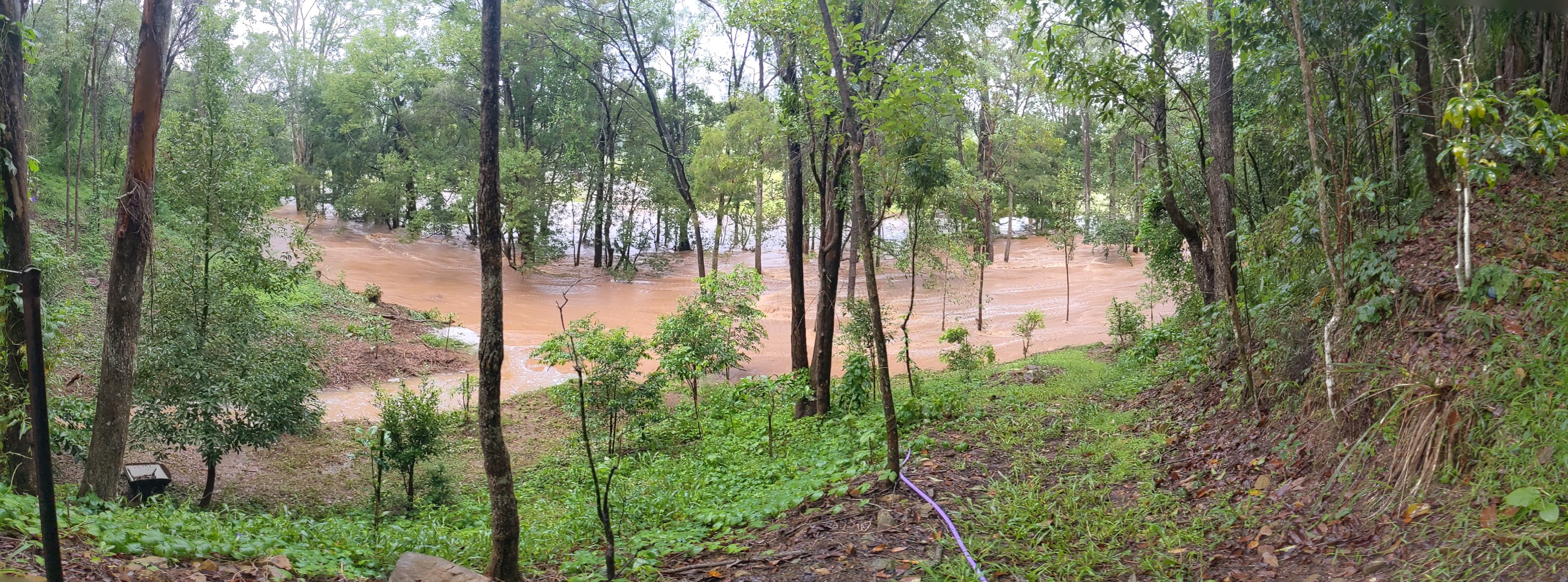 Addi Lane - The Entrance