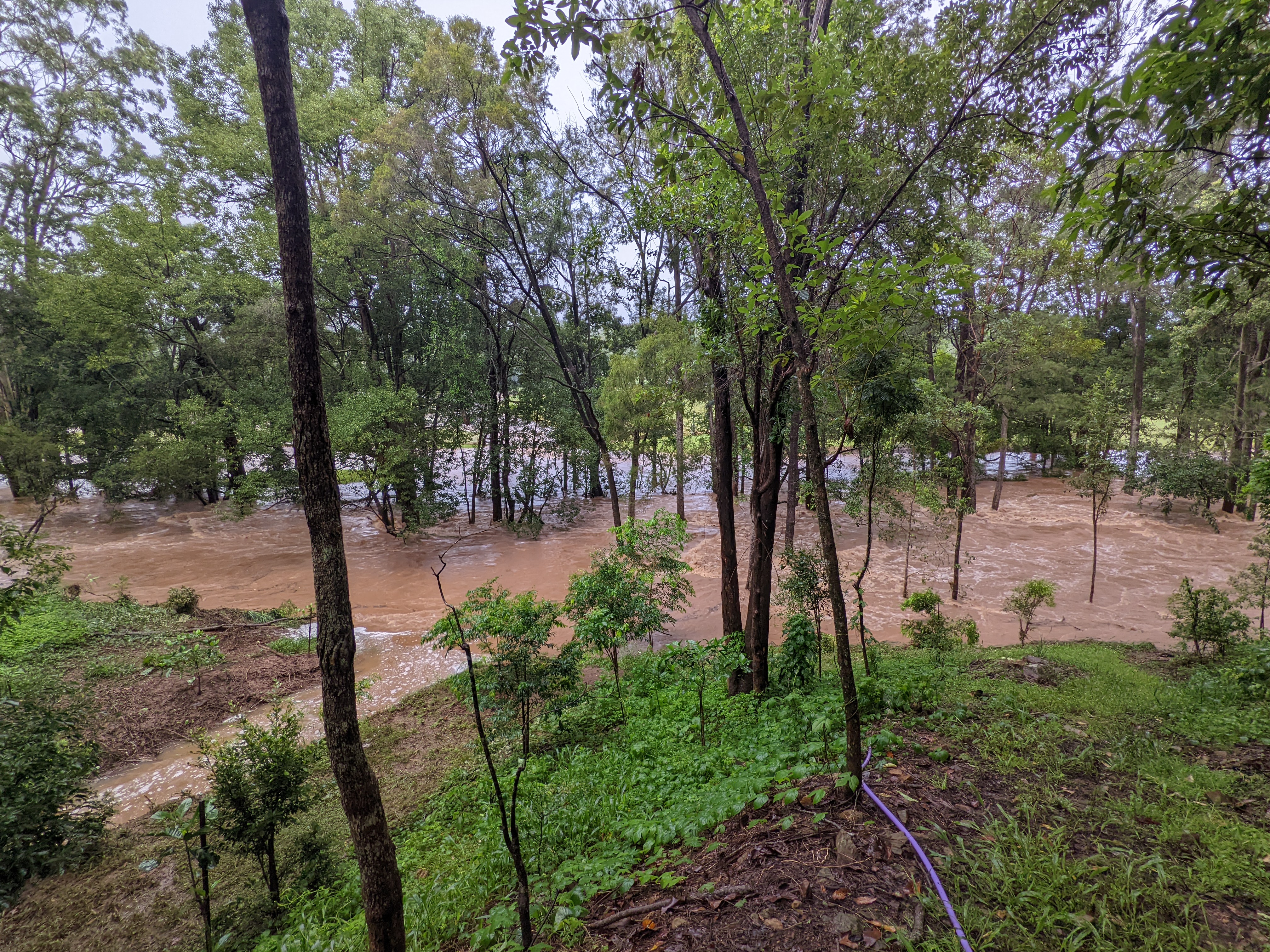 Addi Lane - The Entrance