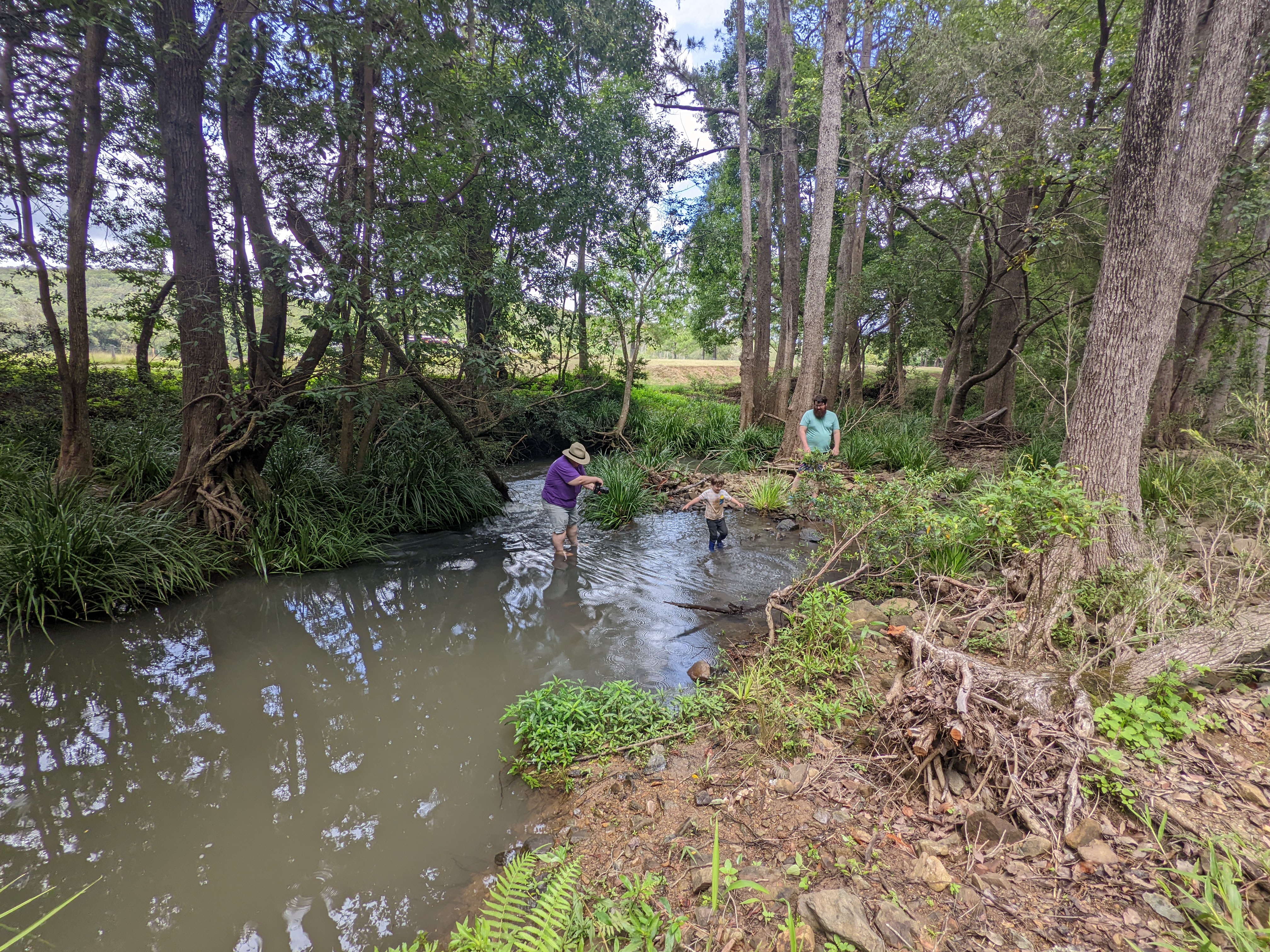 Misty's Watering hole