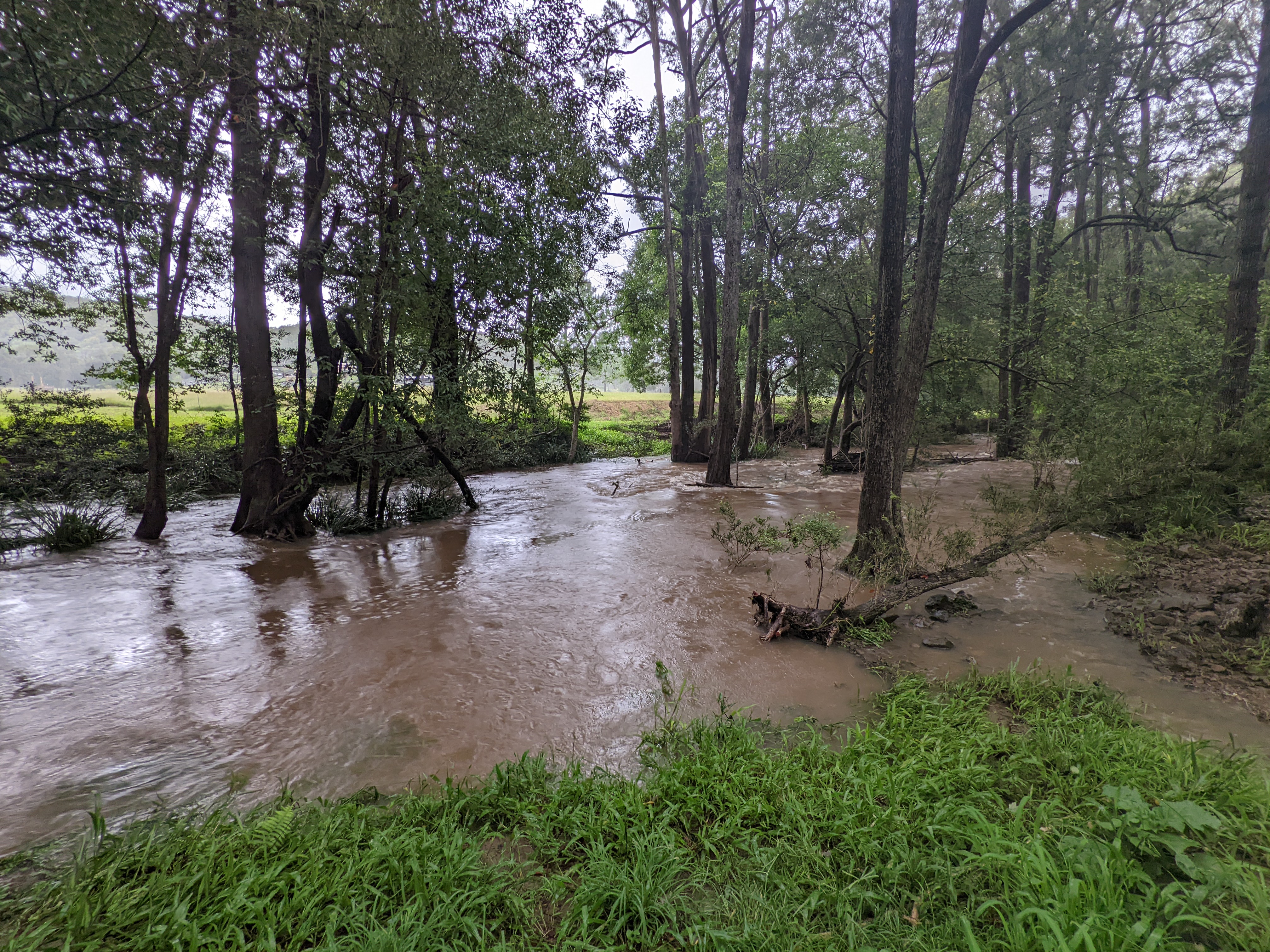 Misty's Watering hole