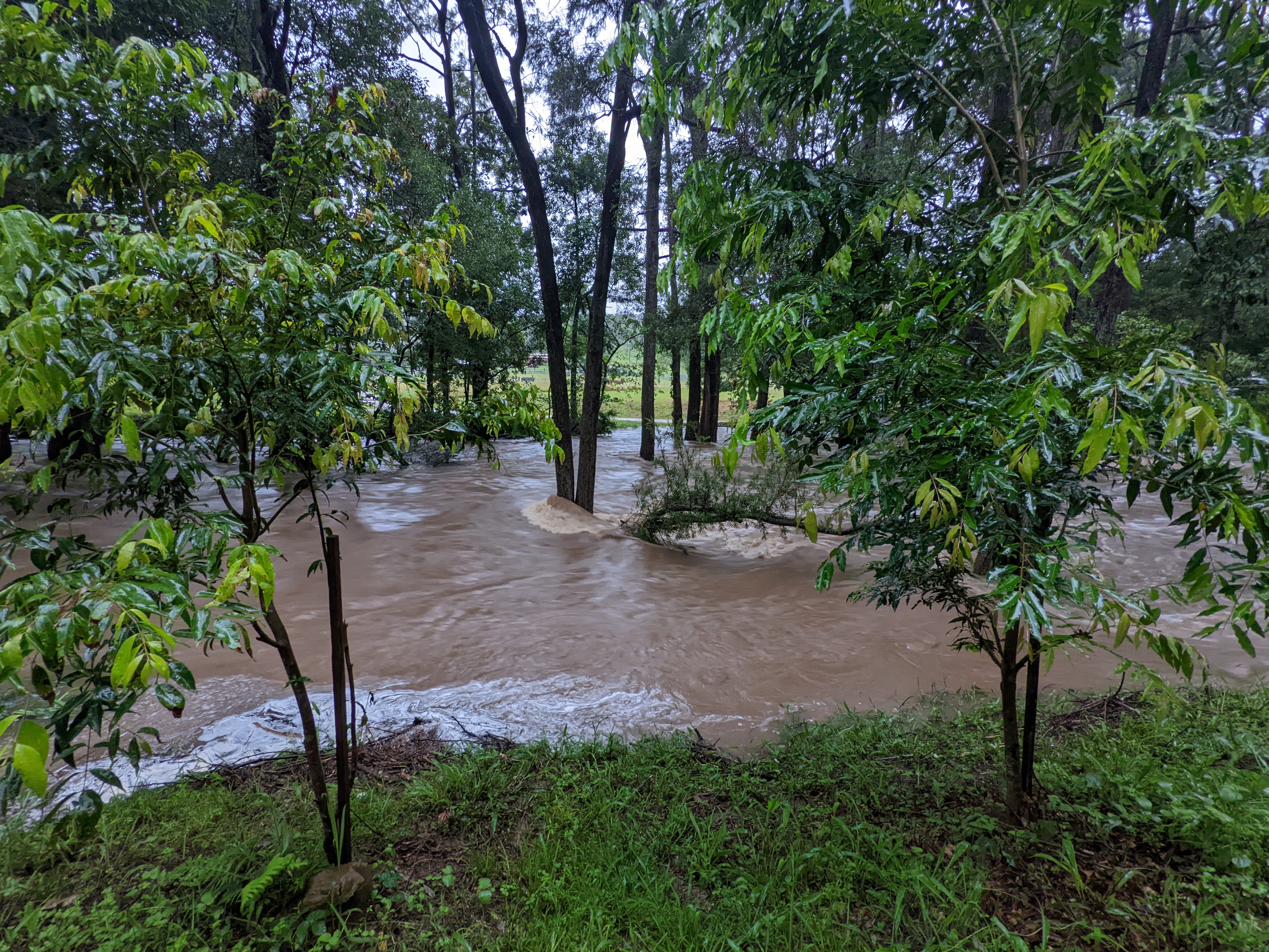 Addi Lane - The Entrance