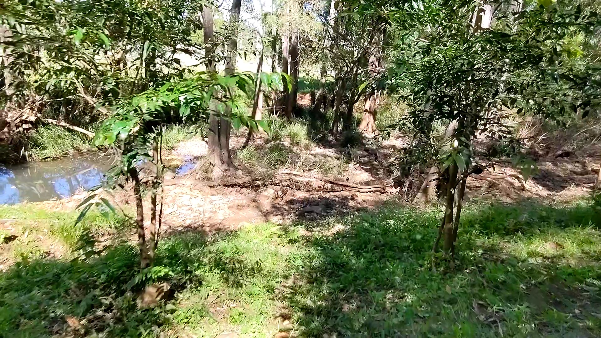 Addi Lane - The Entrance