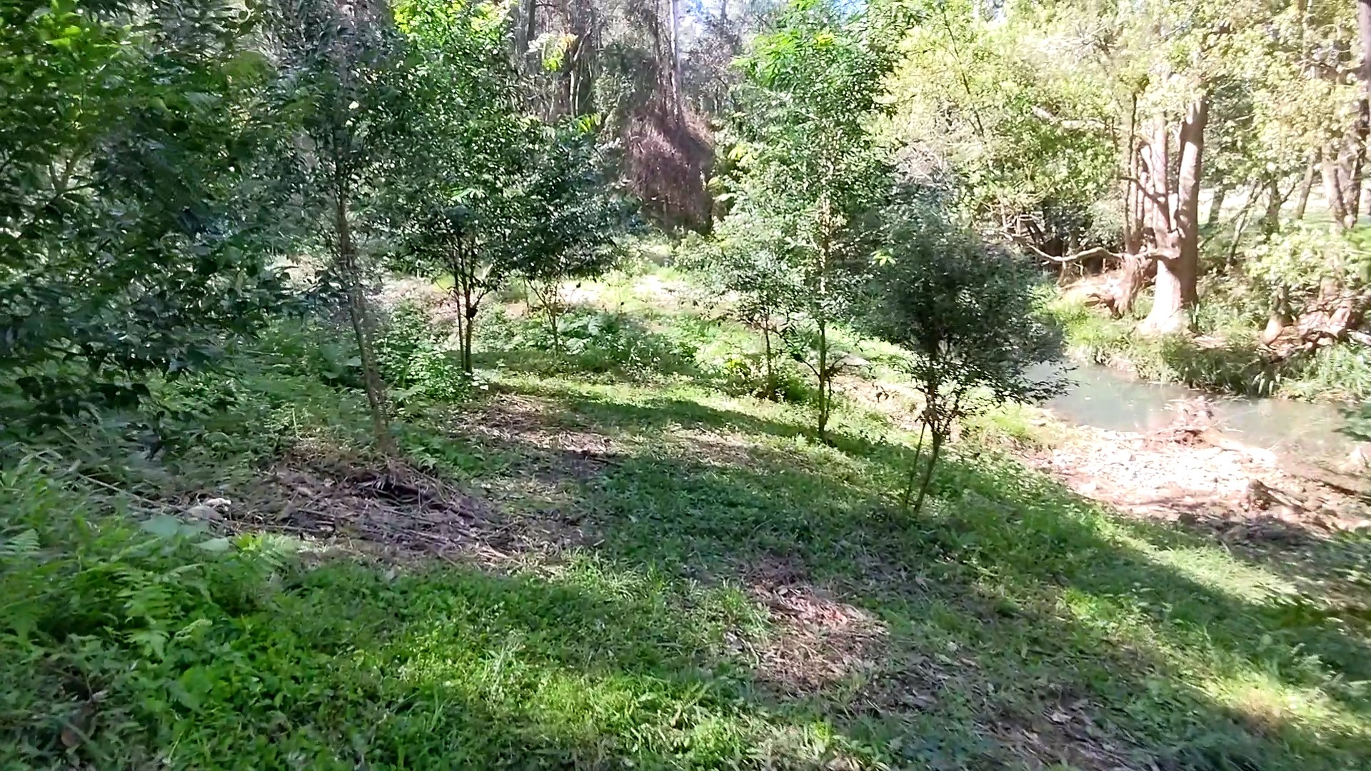 Addi Lane - The Entrance