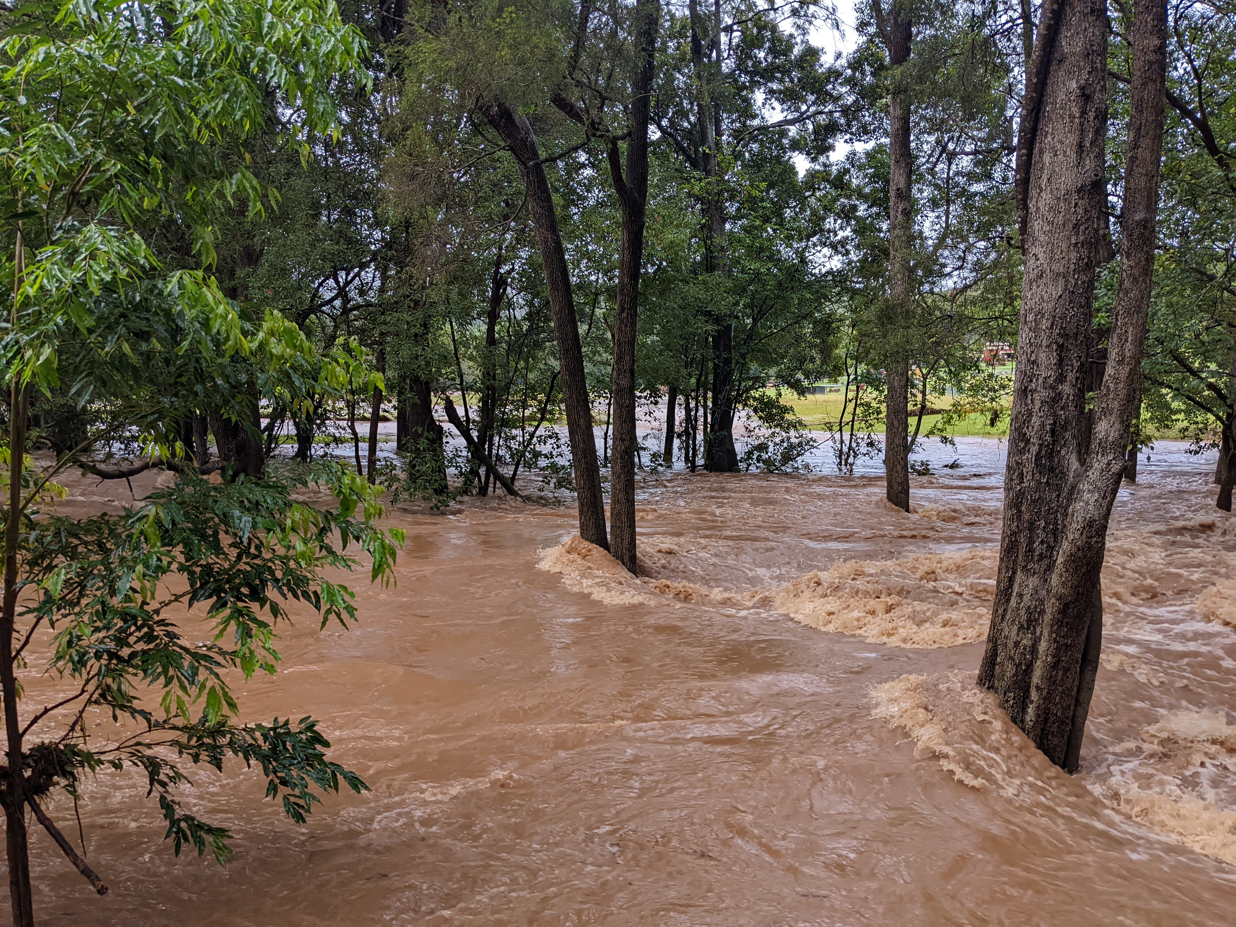 Addi Lane - The Entrance