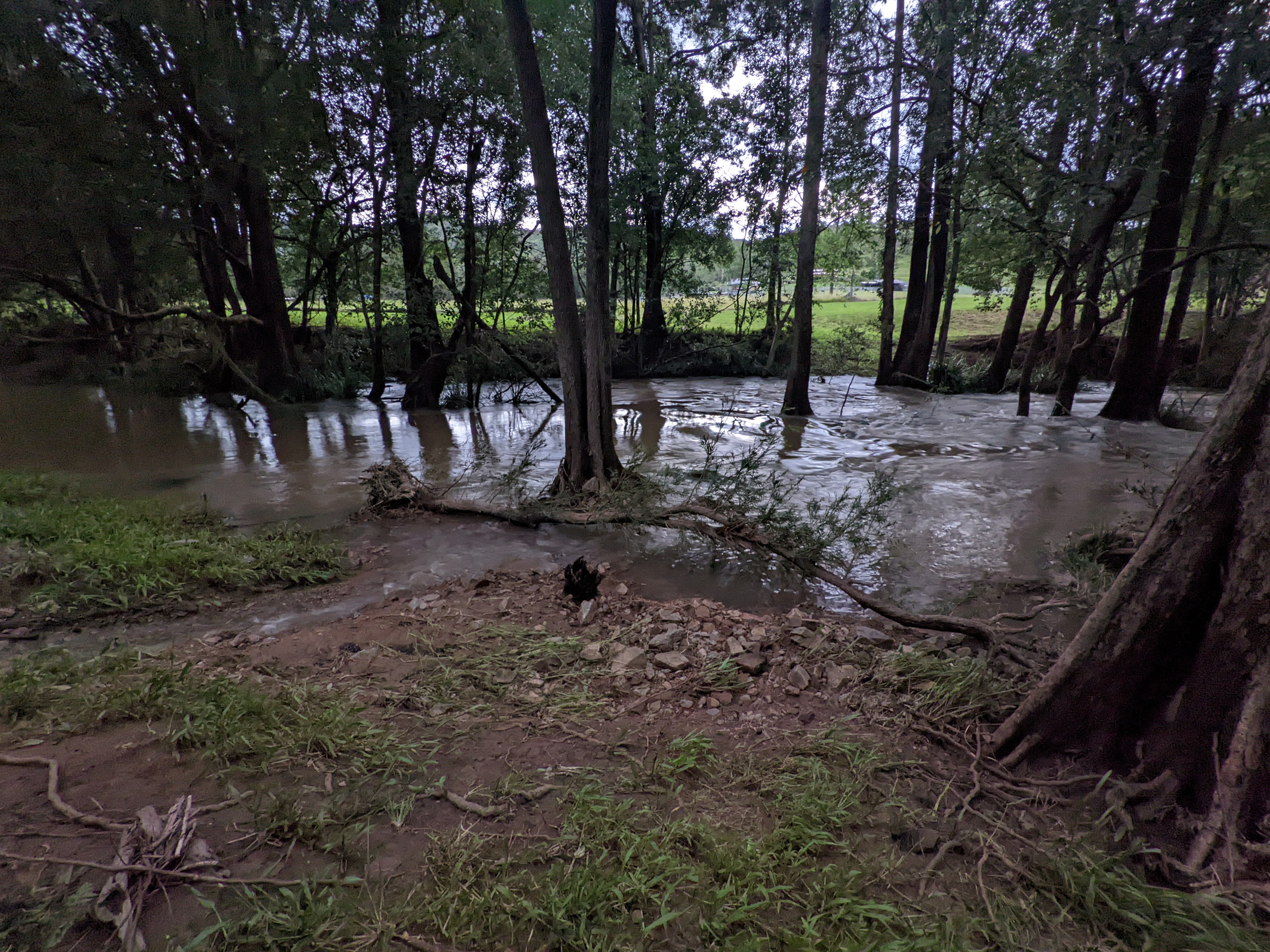 Misty's Watering hole