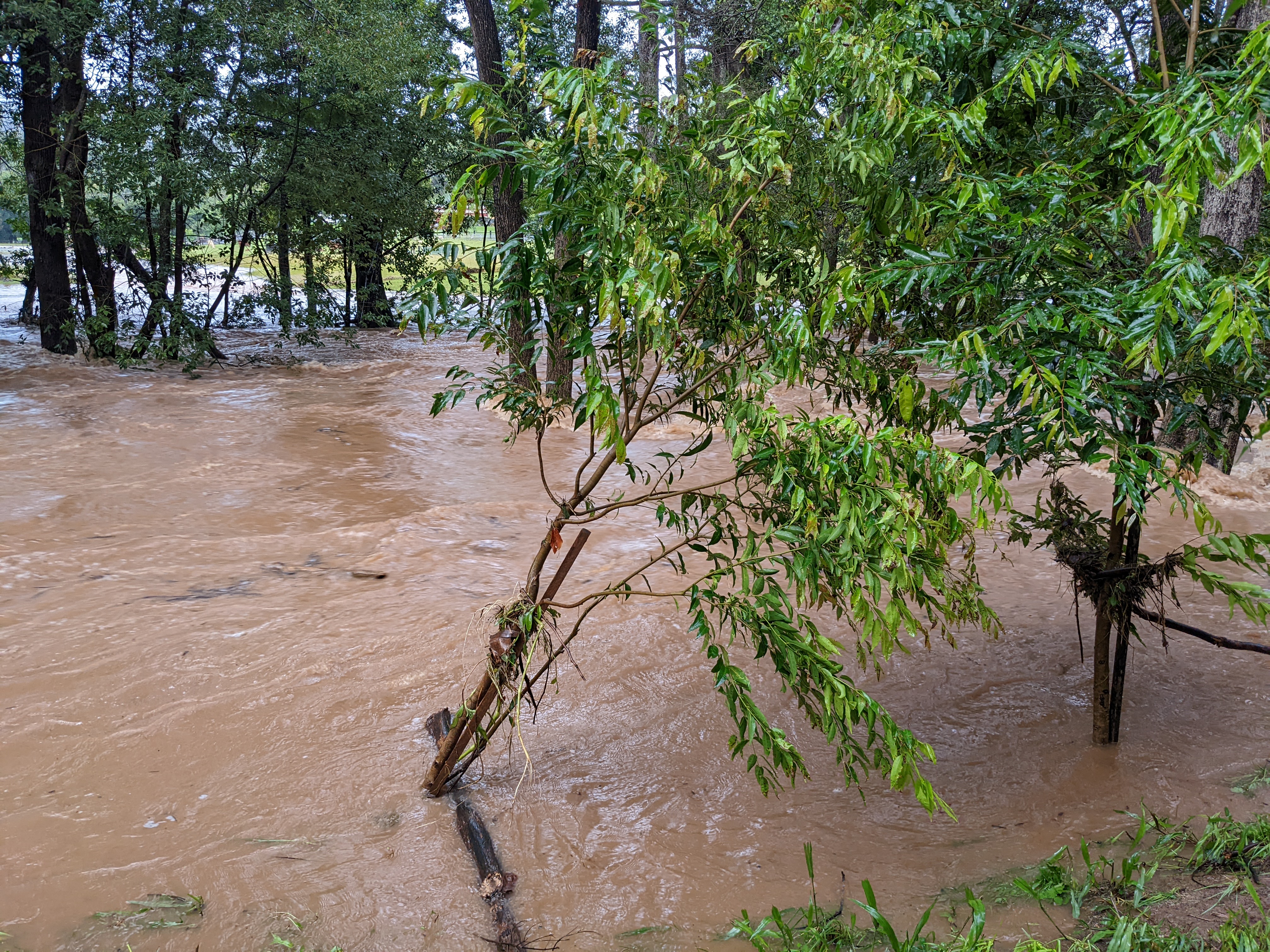 Addi Lane - The Entrance