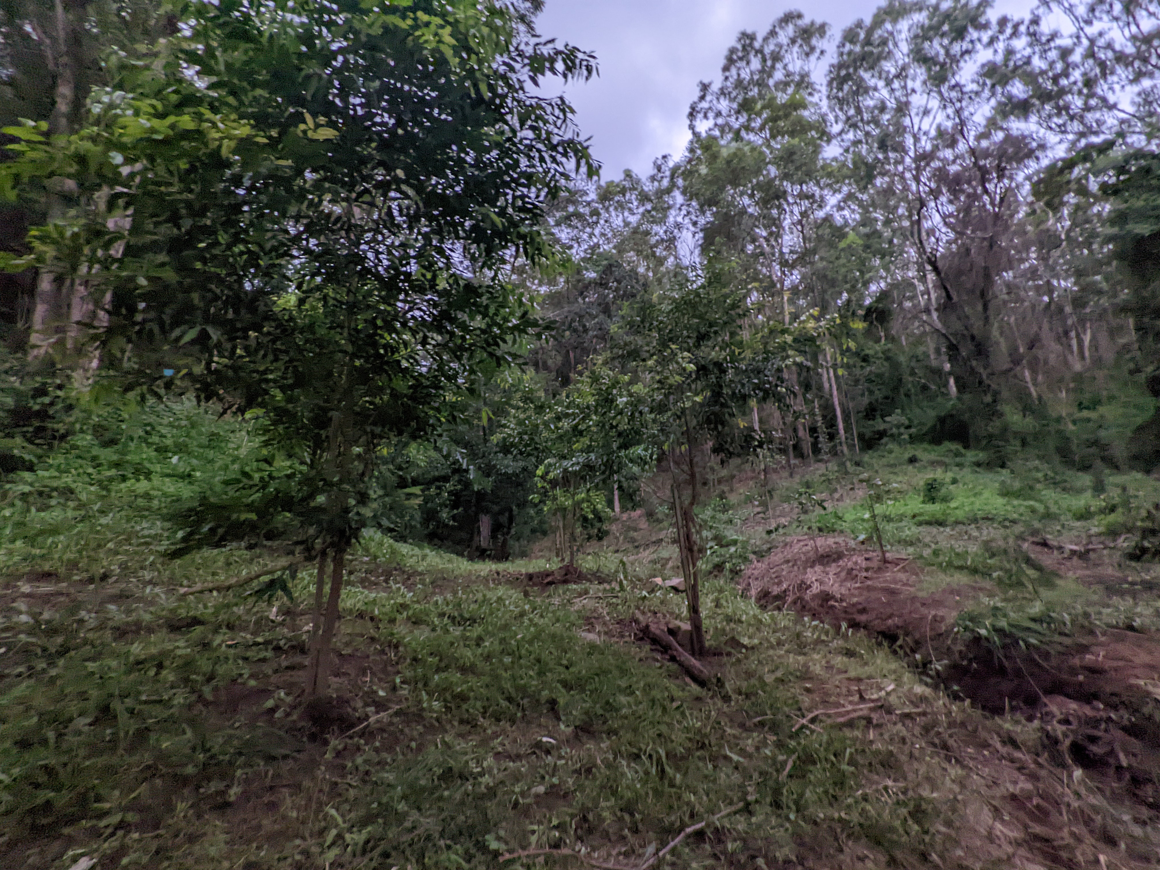 Addi Lane - The Entrance