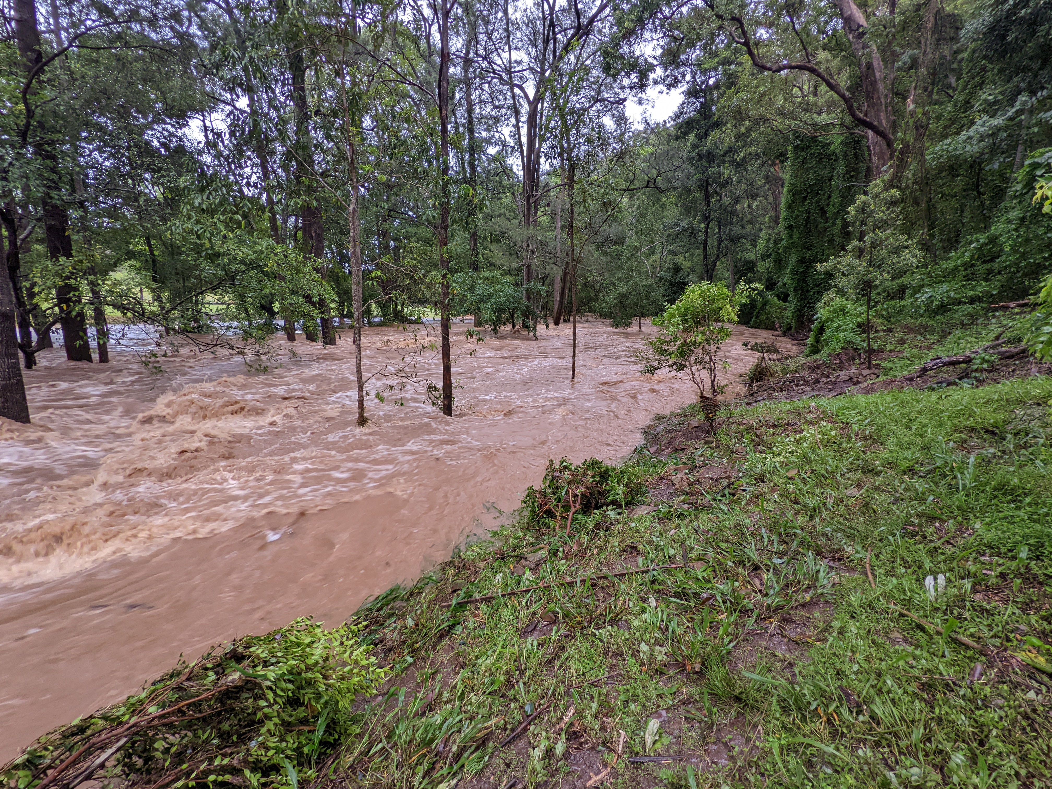 Addi Lane - The Entrance