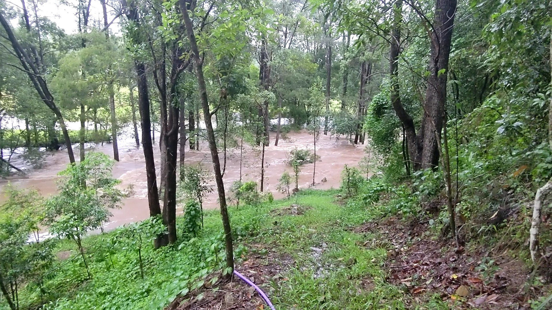 Addi Lane - The Entrance