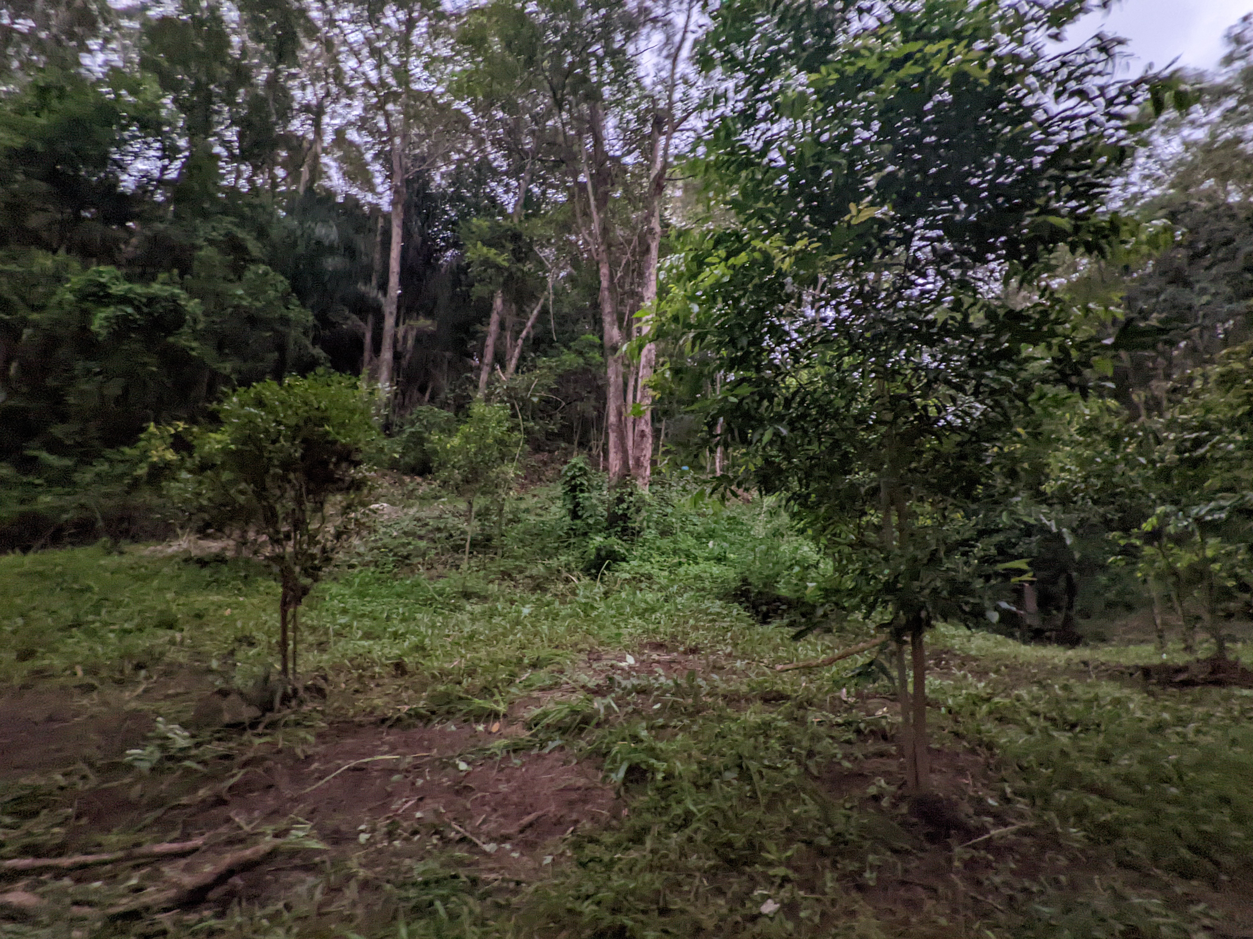 Addi Lane - The Entrance