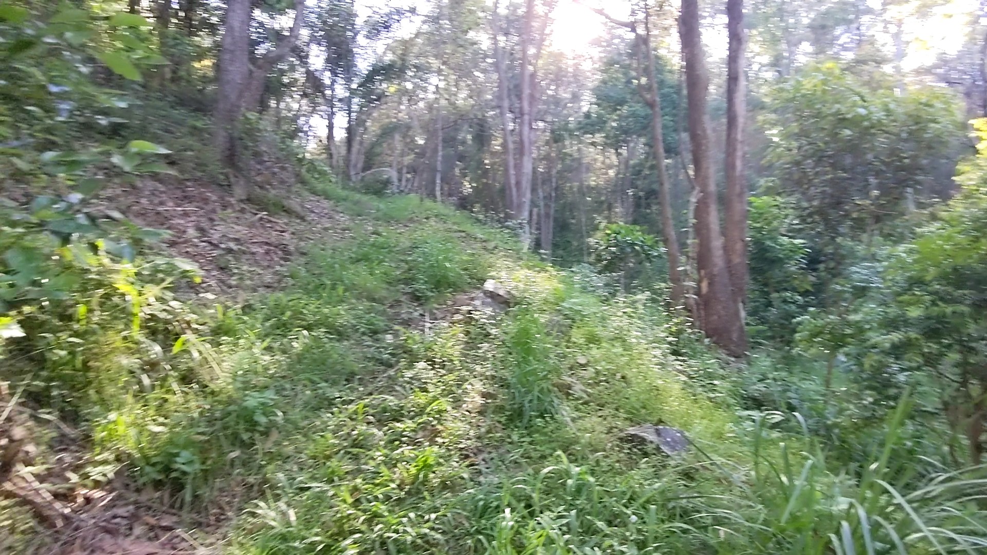 Addi Lane - The Entrance