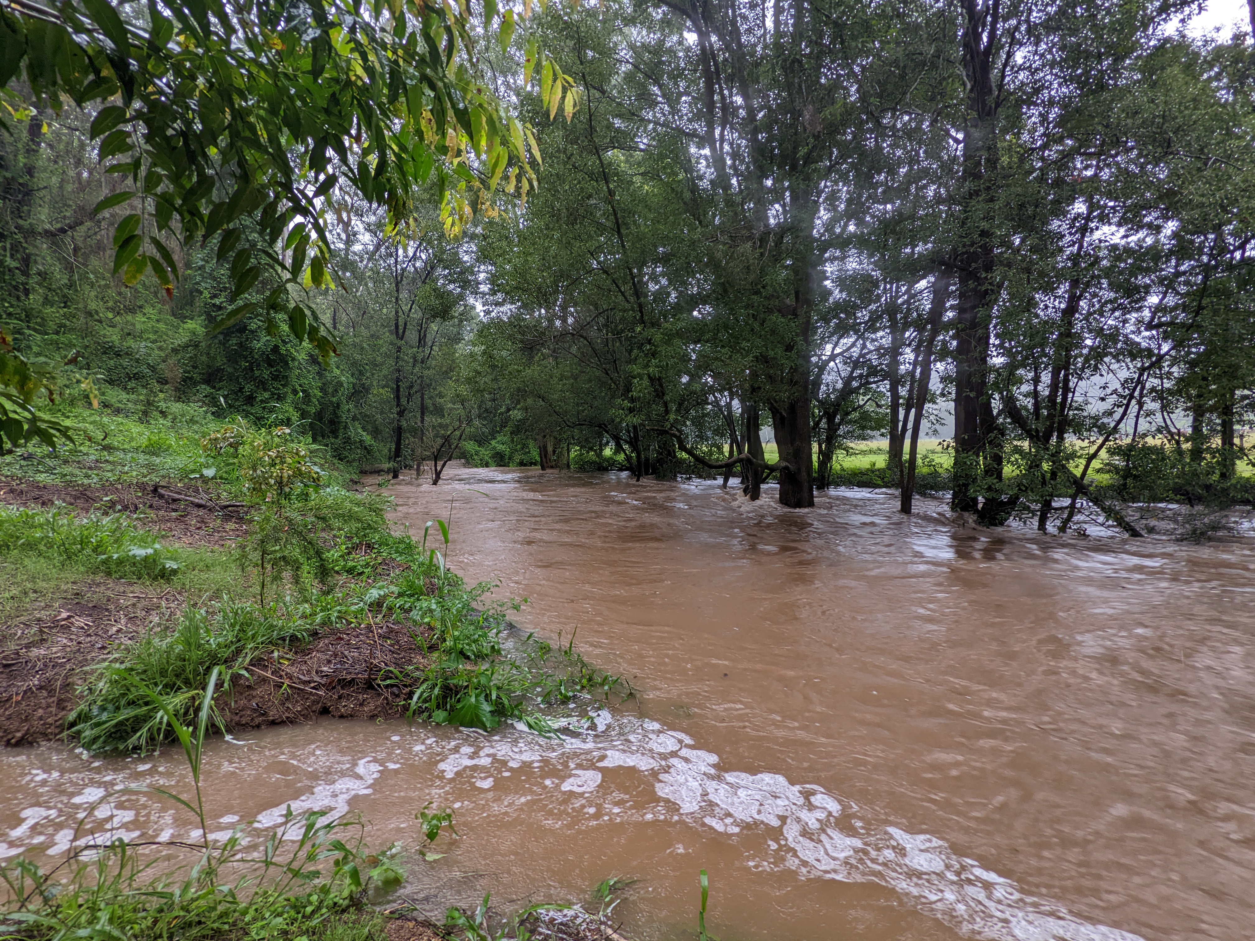 Misty's Watering hole