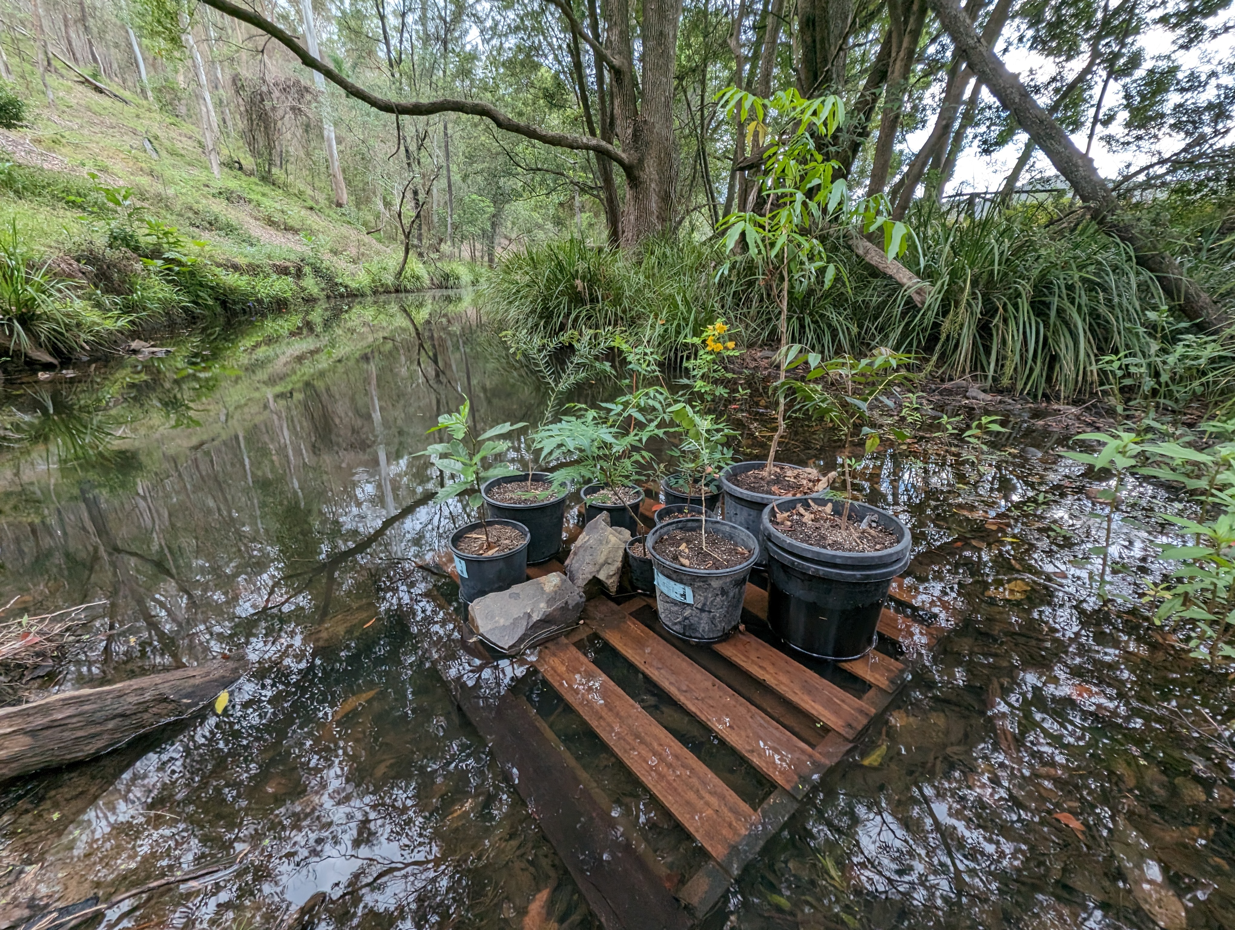 Misty's Watering hole