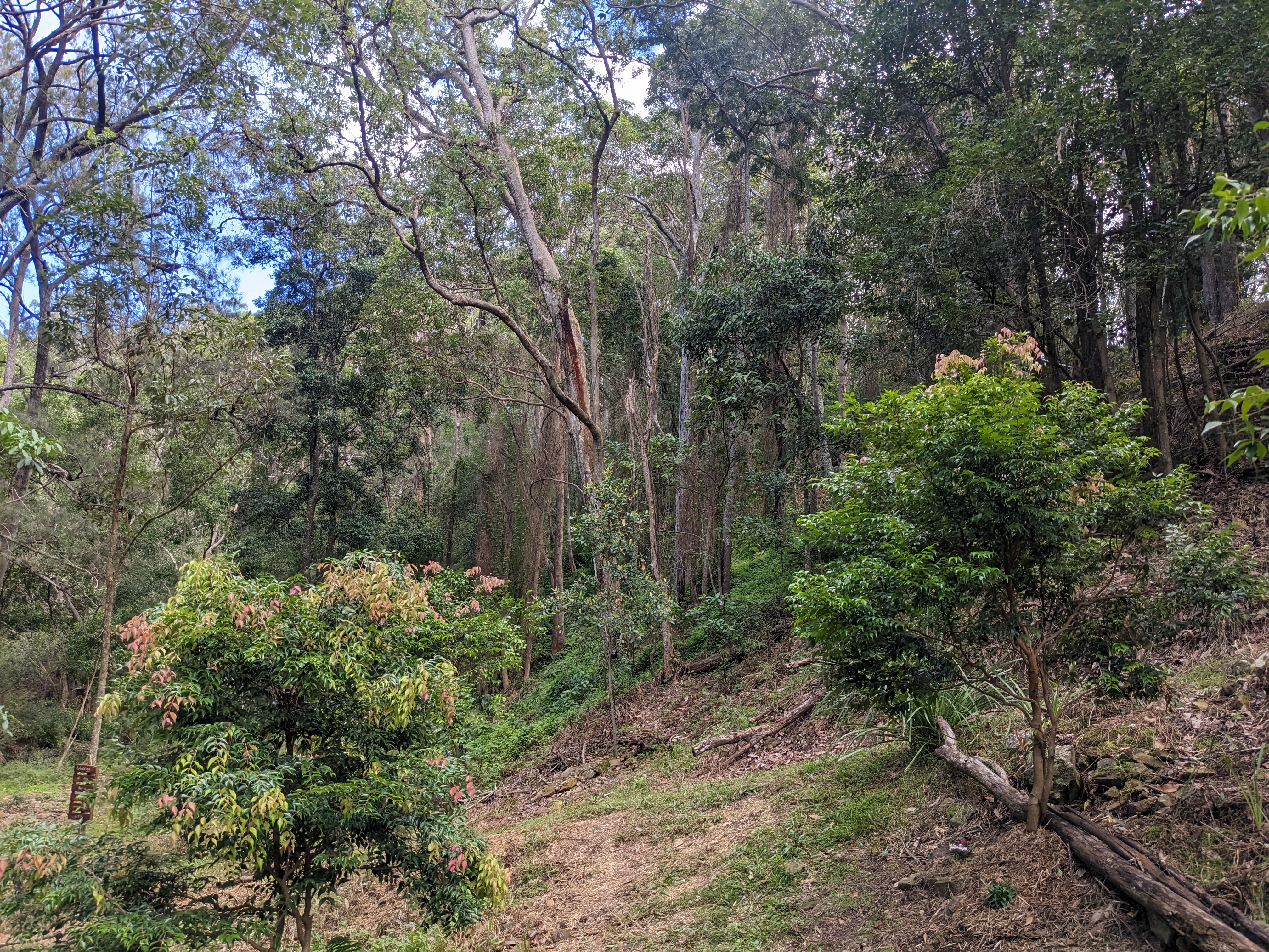 Addi Lane - The Entrance