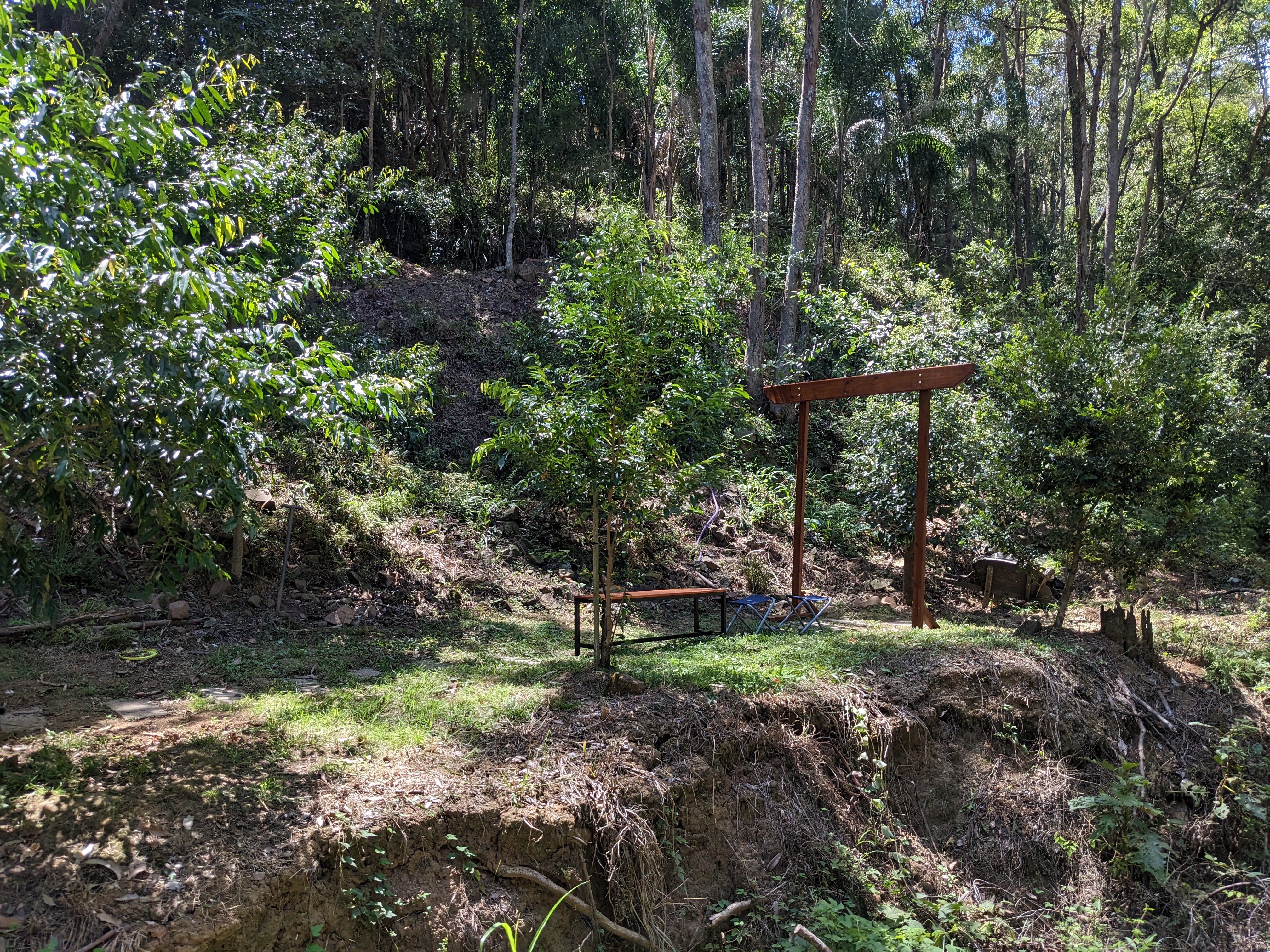 Addi Lane - The Entrance