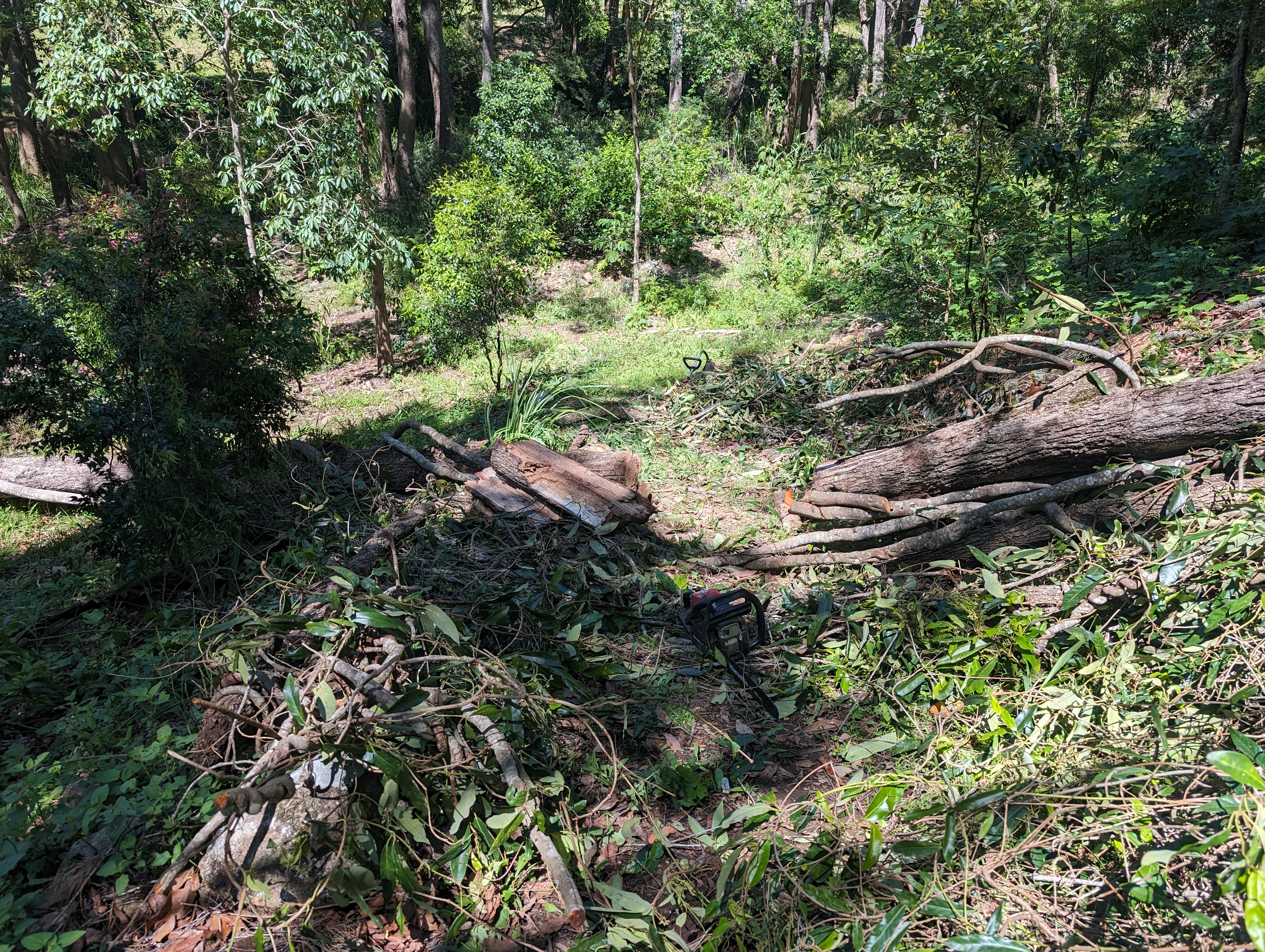 Addi Lane - The Entrance