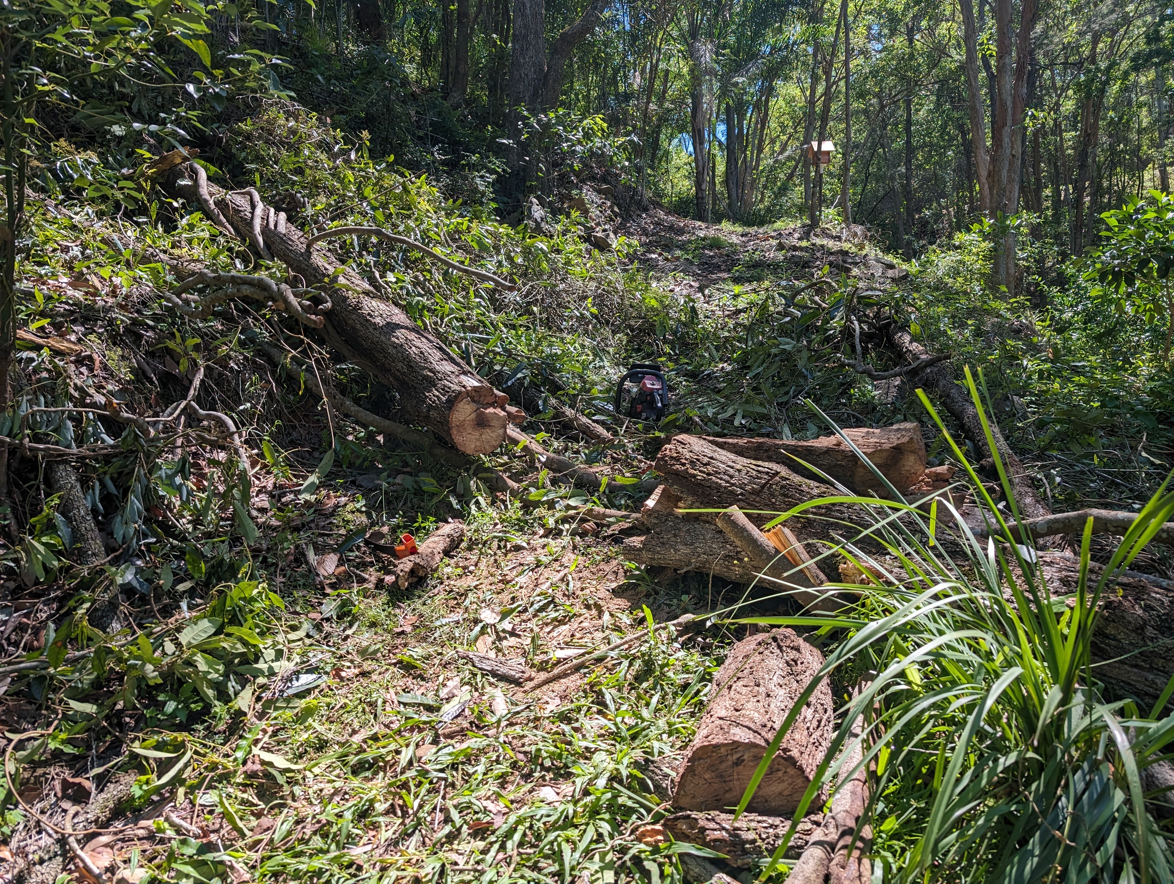 Addi Lane - The Entrance