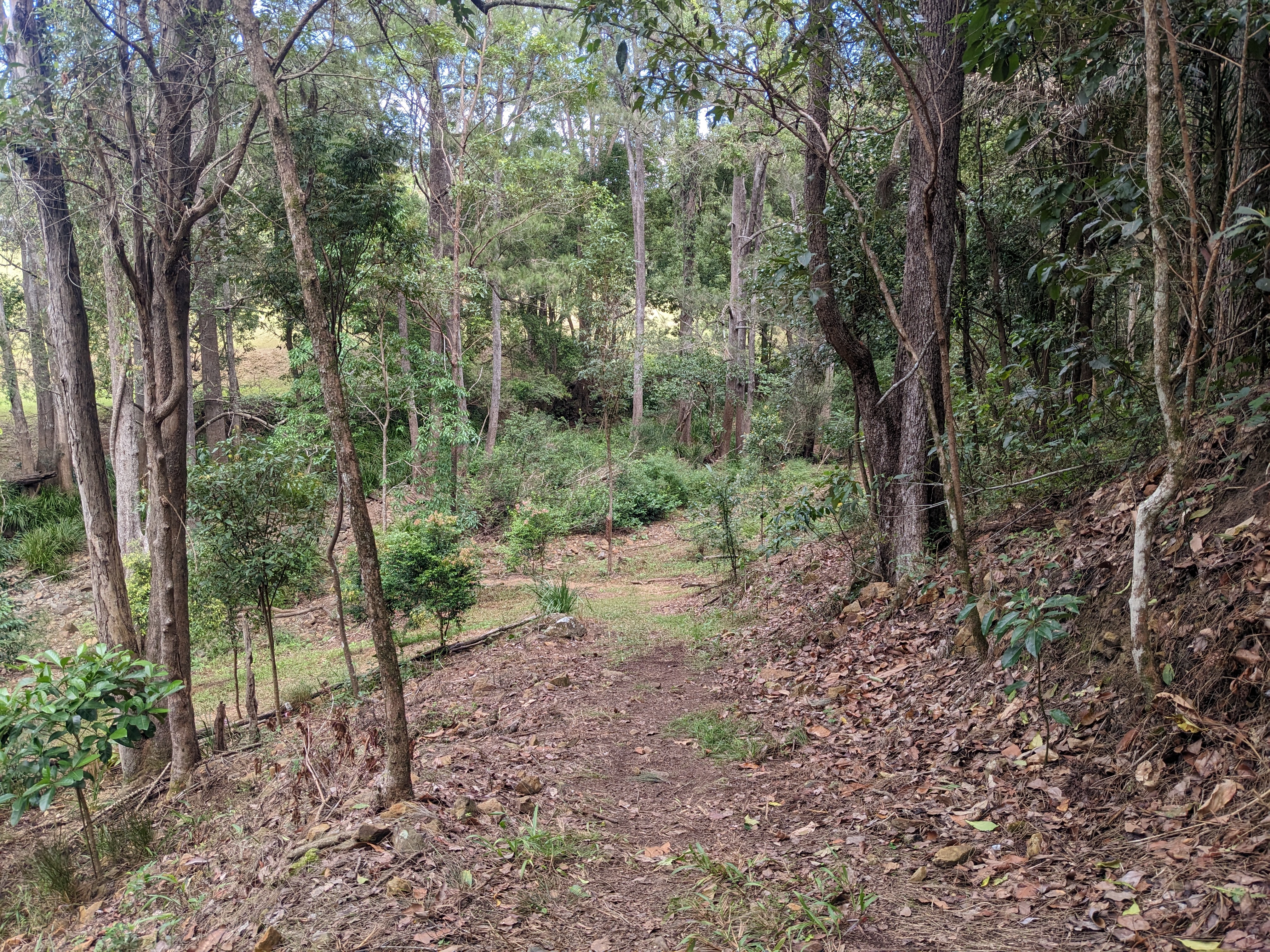 Addi Lane - The Entrance