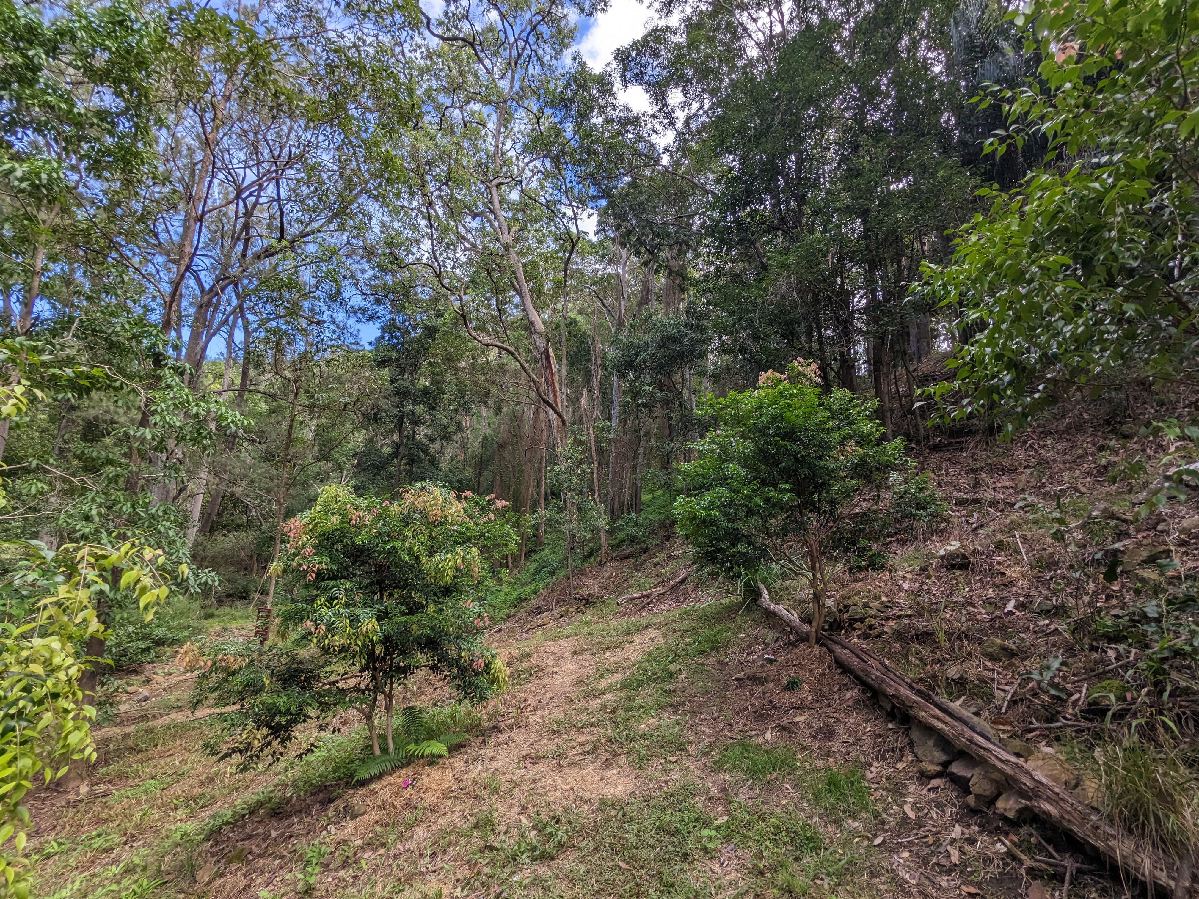 Addi Lane - The Entrance