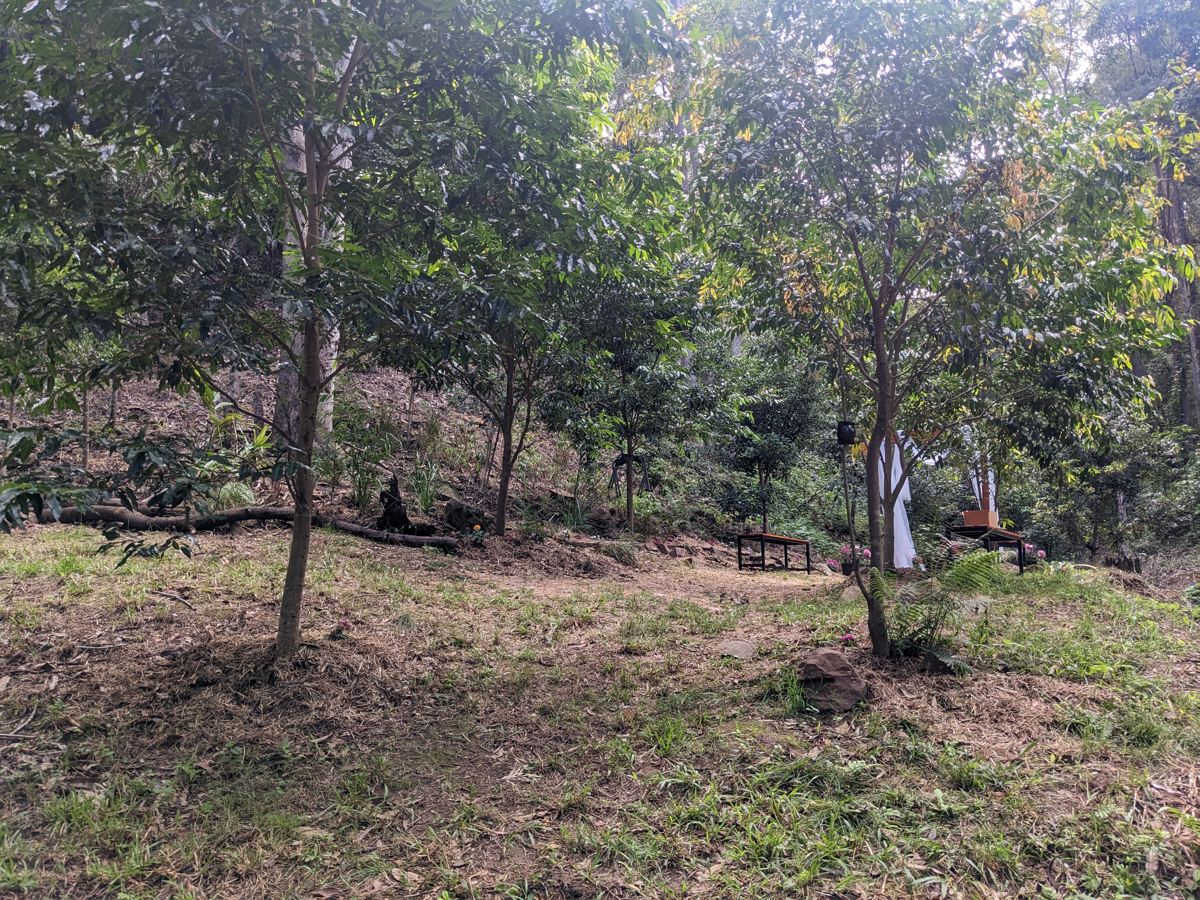 Addi Lane - The Entrance