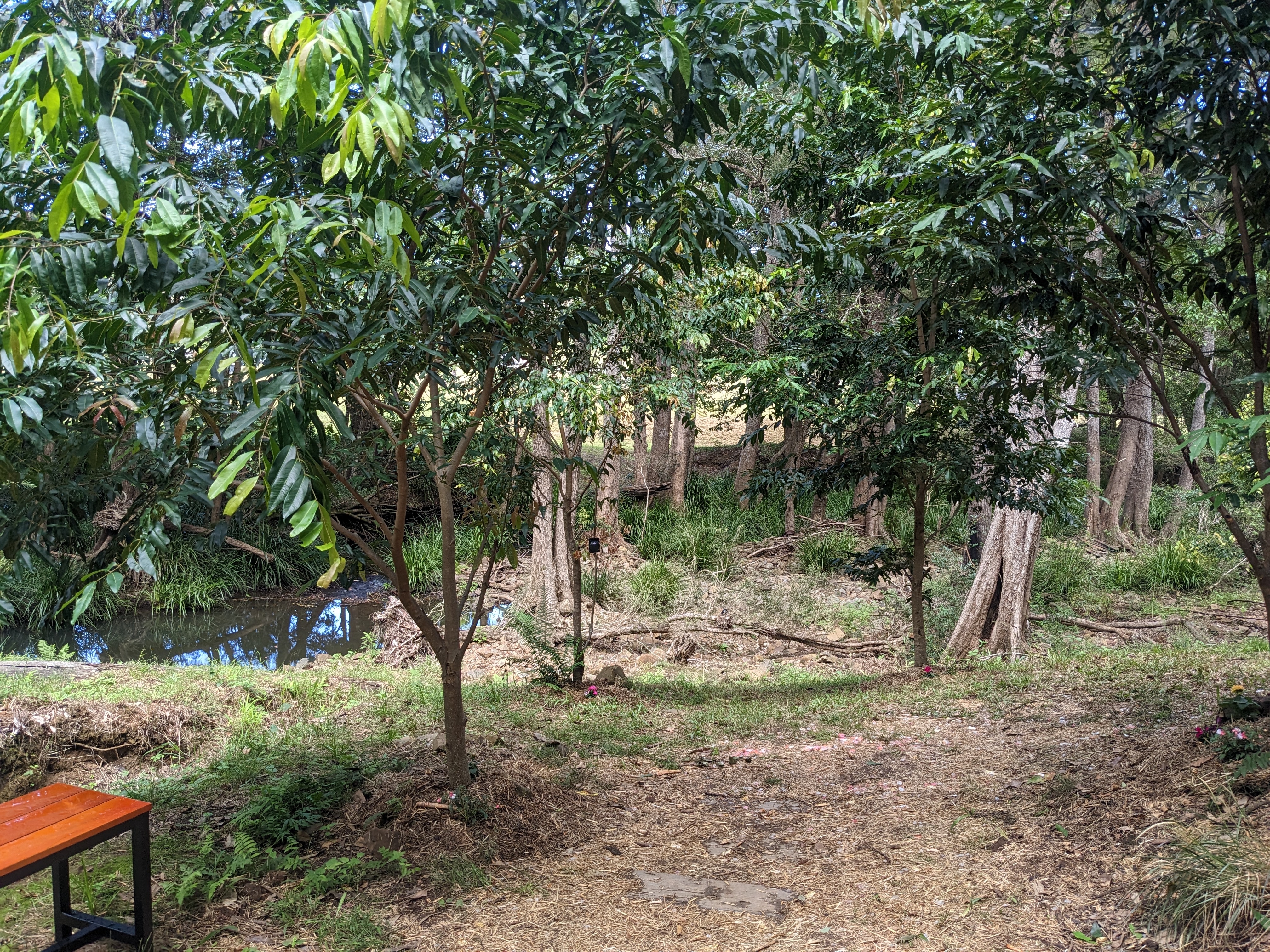 Addi Lane - The Entrance