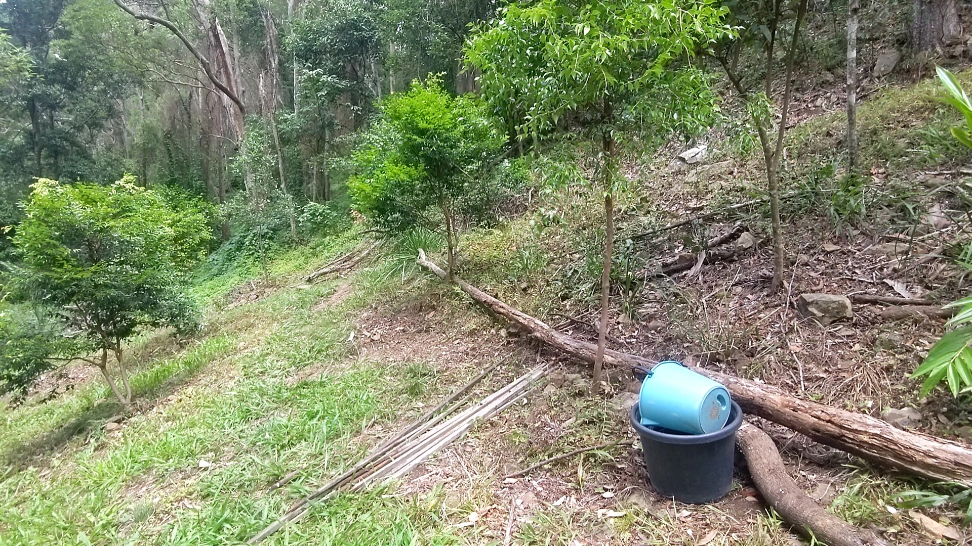 Addi Lane - The Entrance