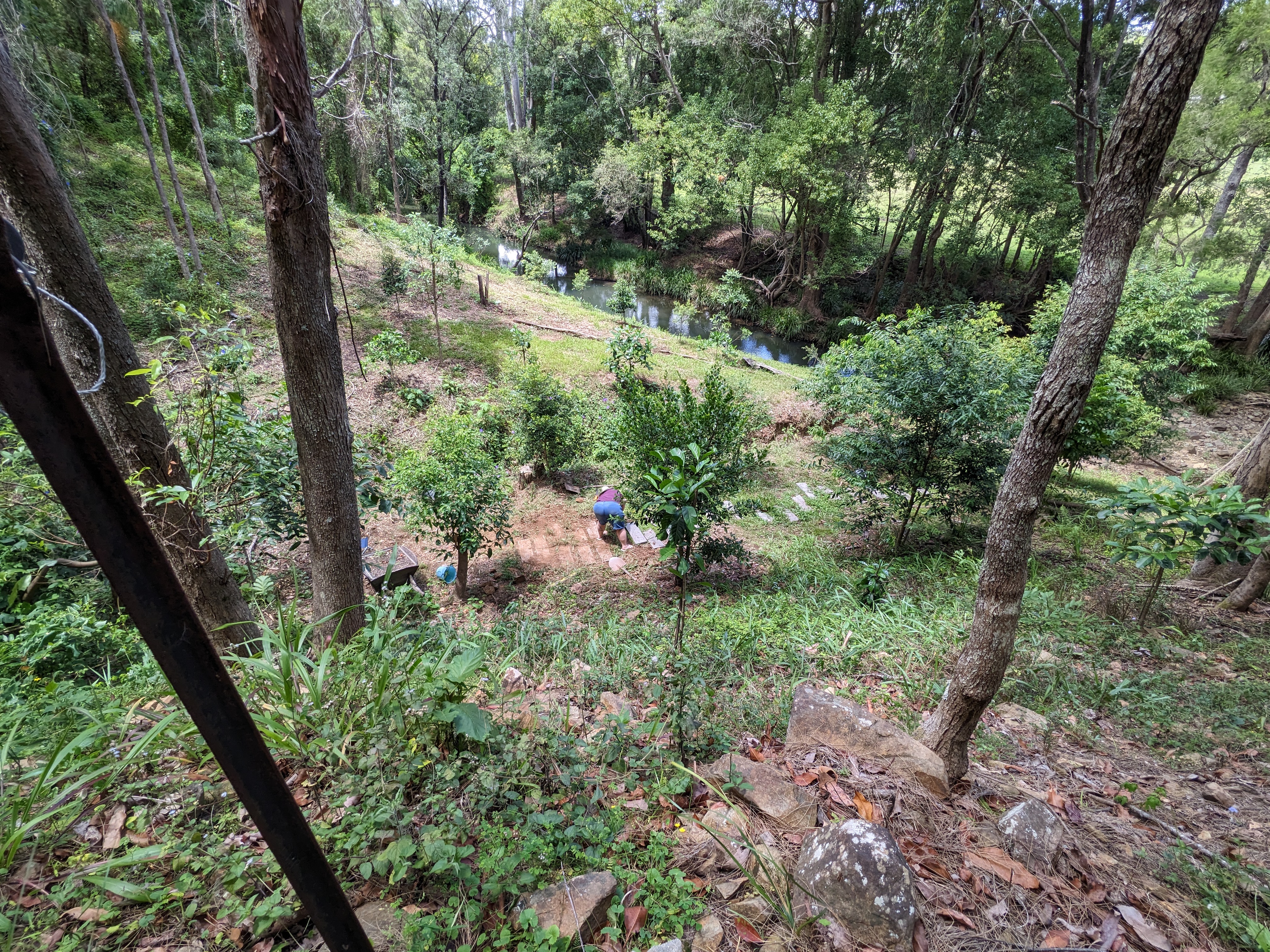 Addi Lane - The Entrance