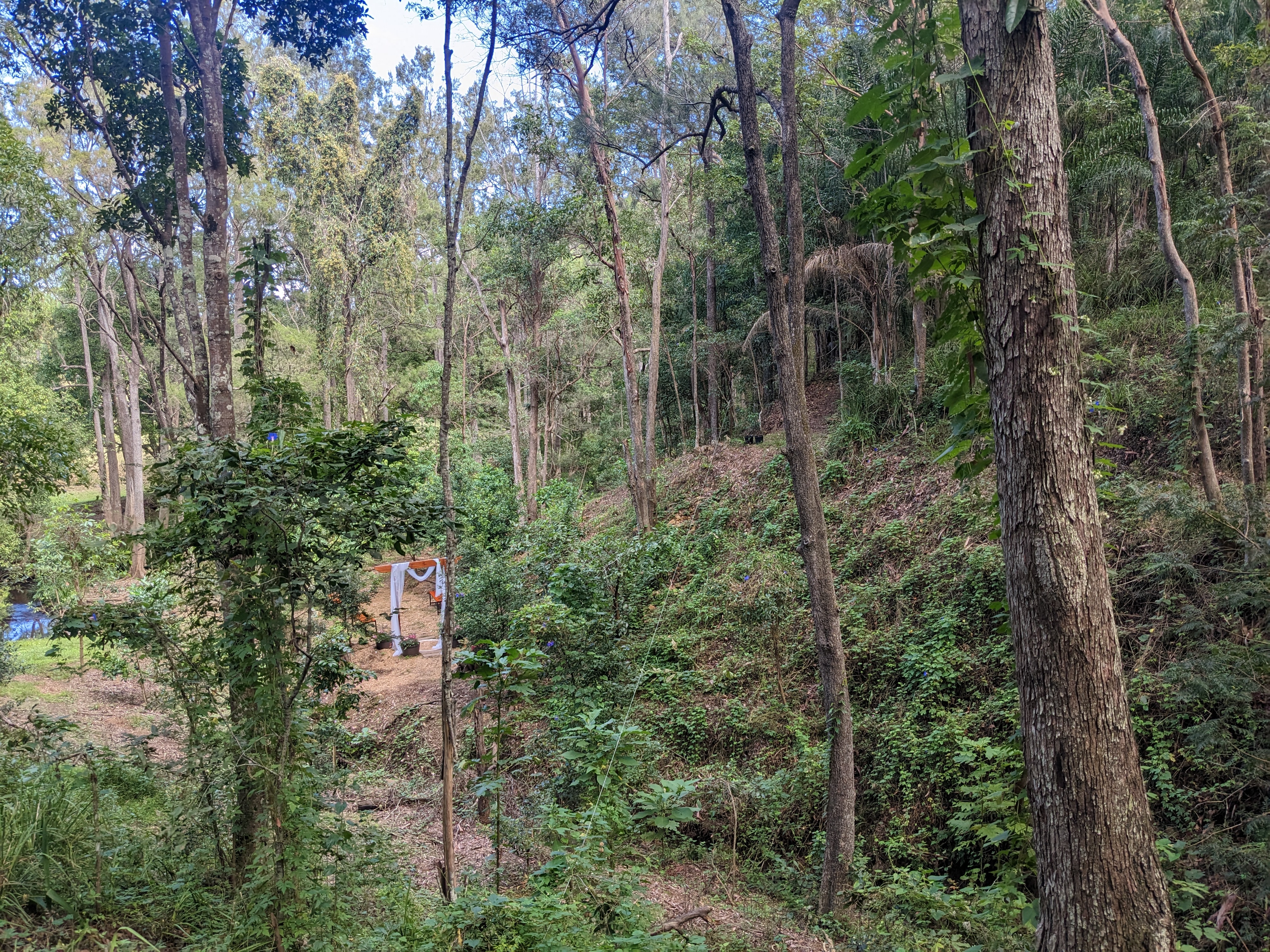 Addi Lane - The Entrance