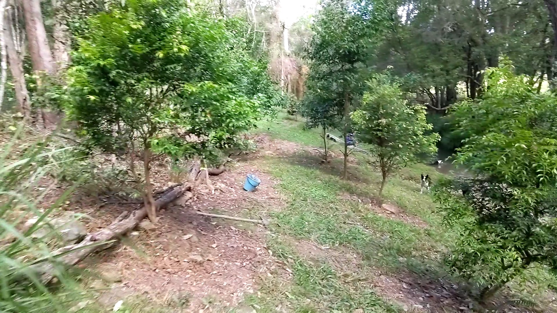 Addi Lane - The Entrance