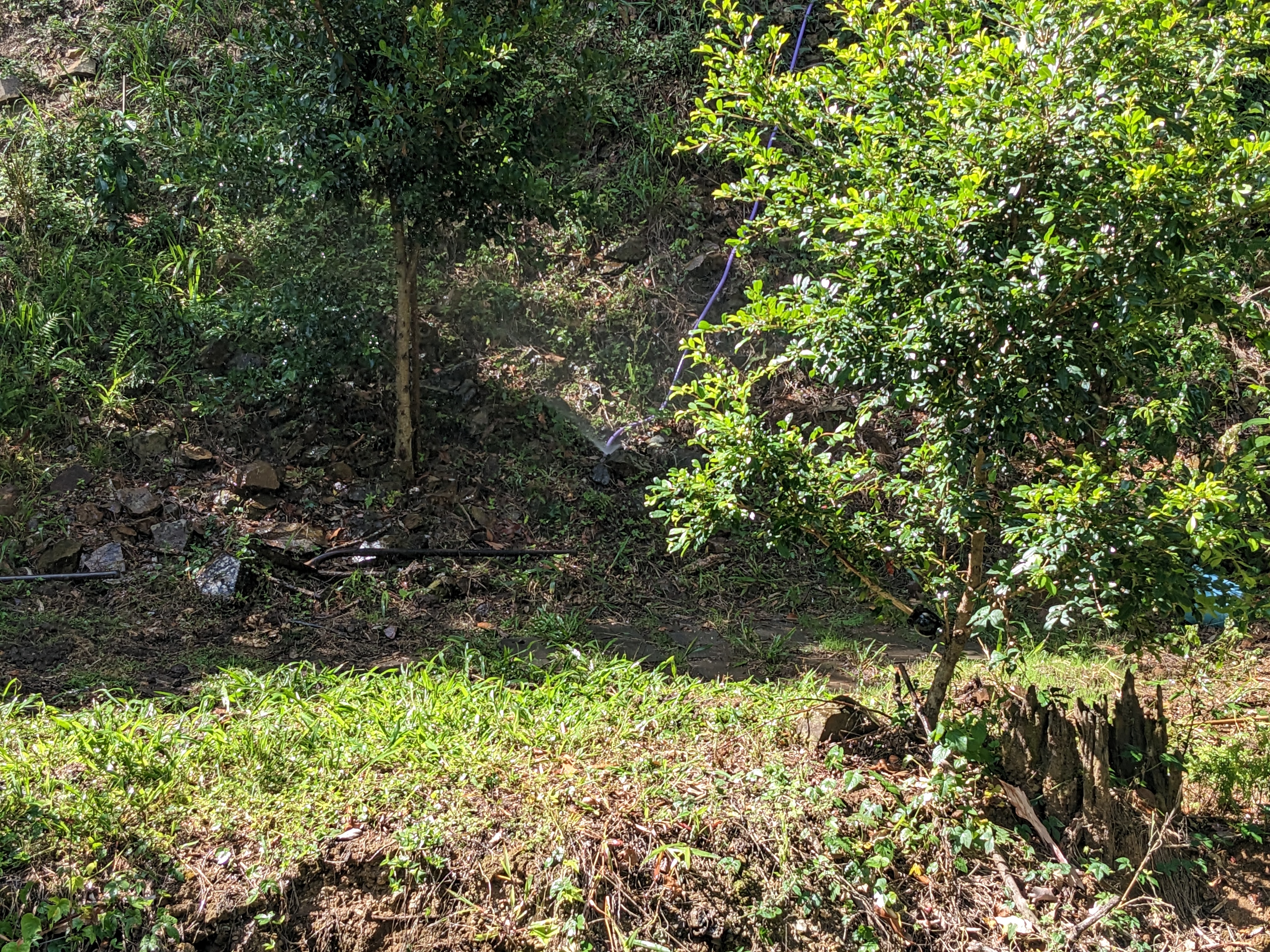 Addi Lane - The Entrance